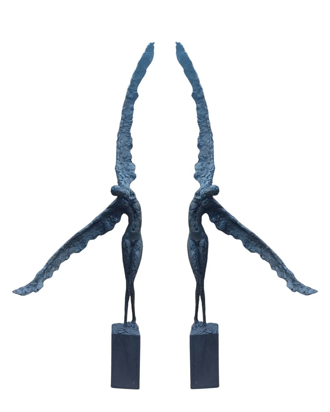 Echo of icarus AAF 10-2025.jpg