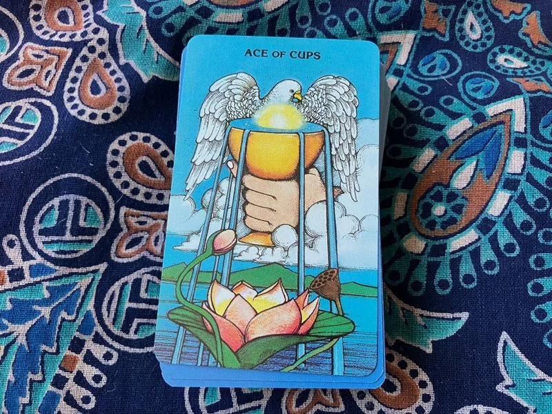 tarot-card-day-1-ace-cups.jpg