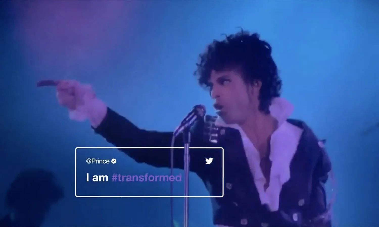 __5. PRINCE_1500x900.jpg