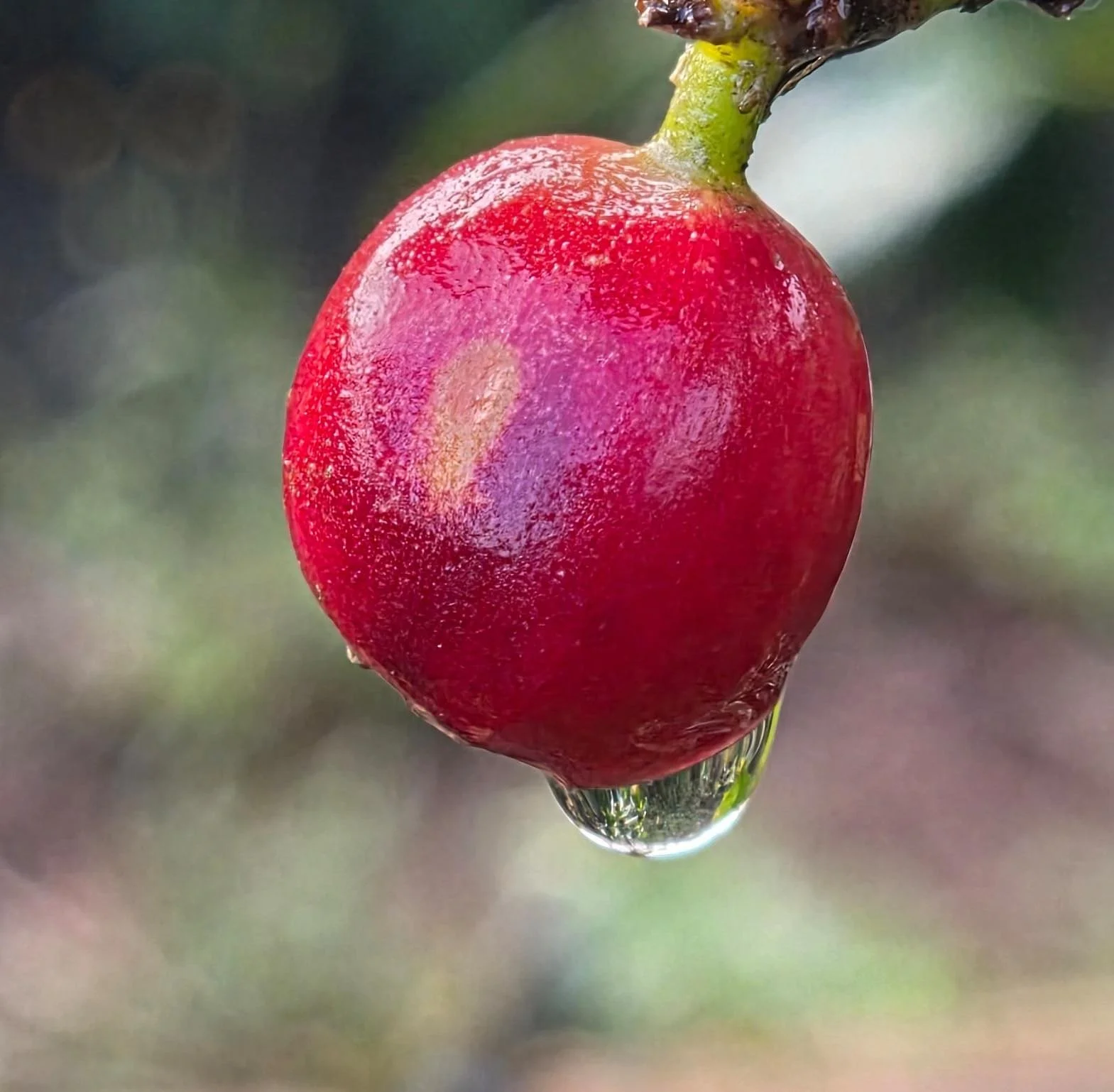 3d94b873-4322-4057-848a-b45e2b2302a5 2.JPG