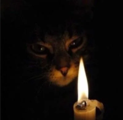 Tiktok Live Energy Scan 10 Minutes