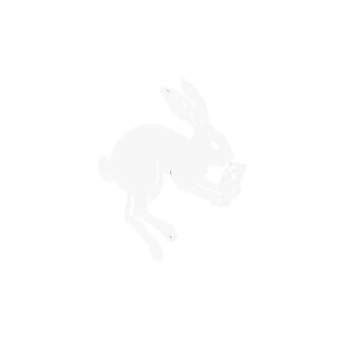 Lucky Rabbit MGMT Logo.png