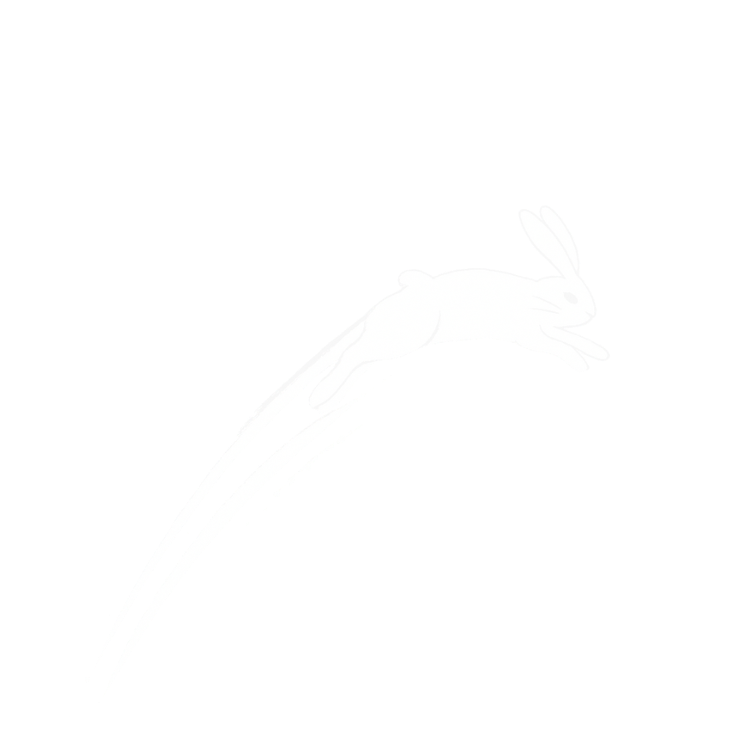 A white silhouette of a rabbit in mid-leap against a black background.