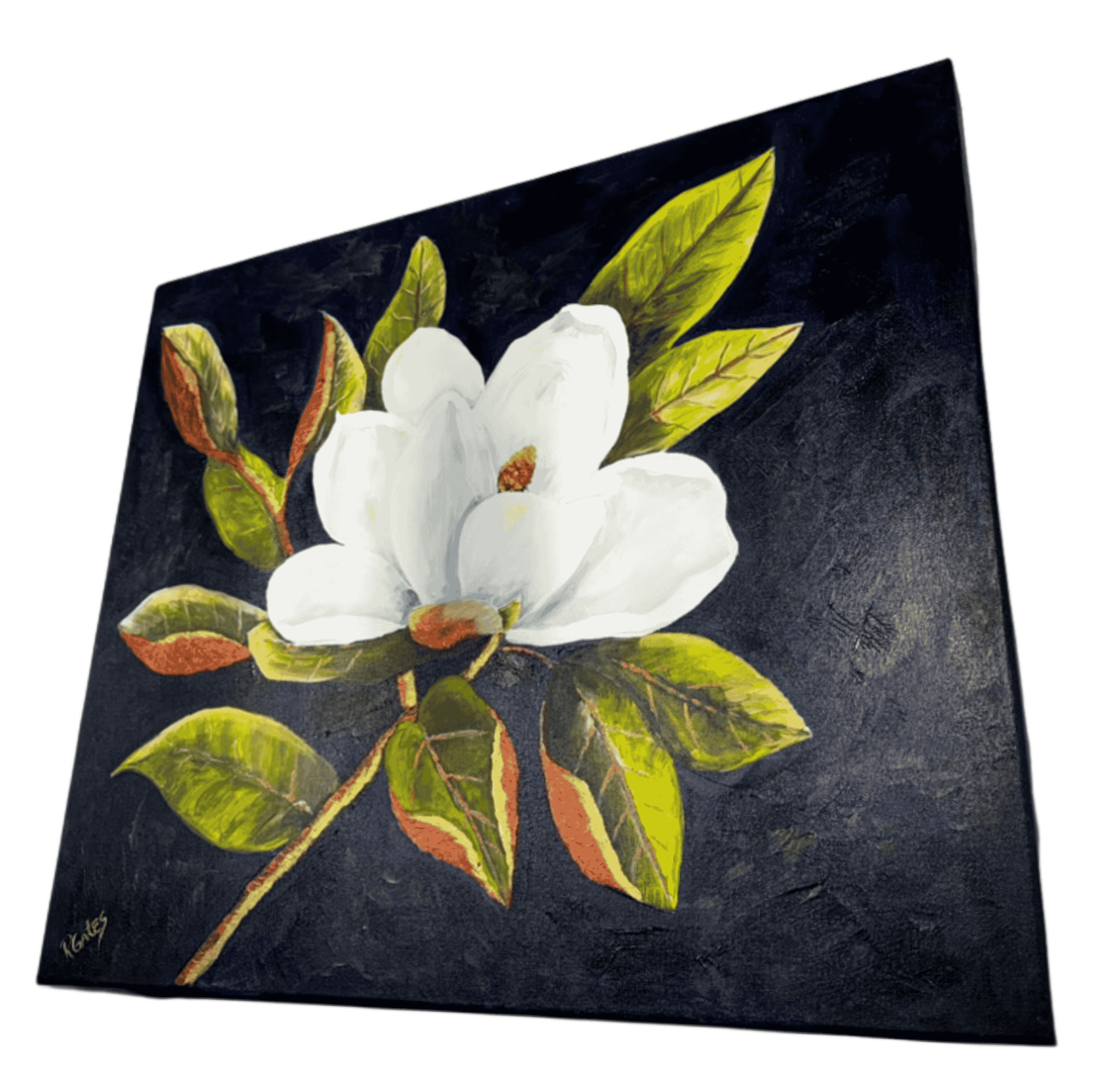 Angled view of original magnolia flower painting by R. Gates featuring a single magnolia bloom against deep navy background.