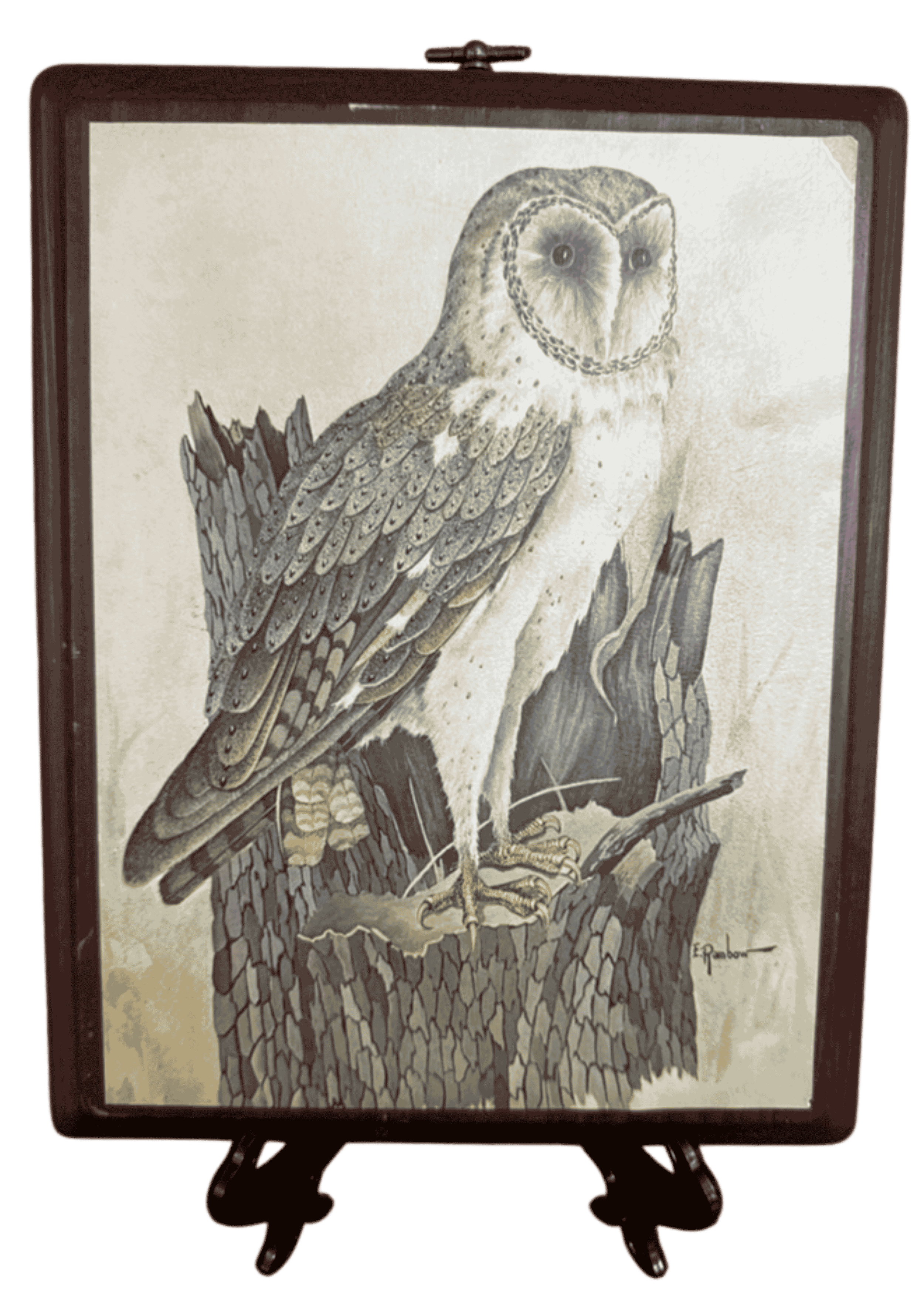 Vintage natural history illustration of a barn owl perched on a broken tree trunk.
