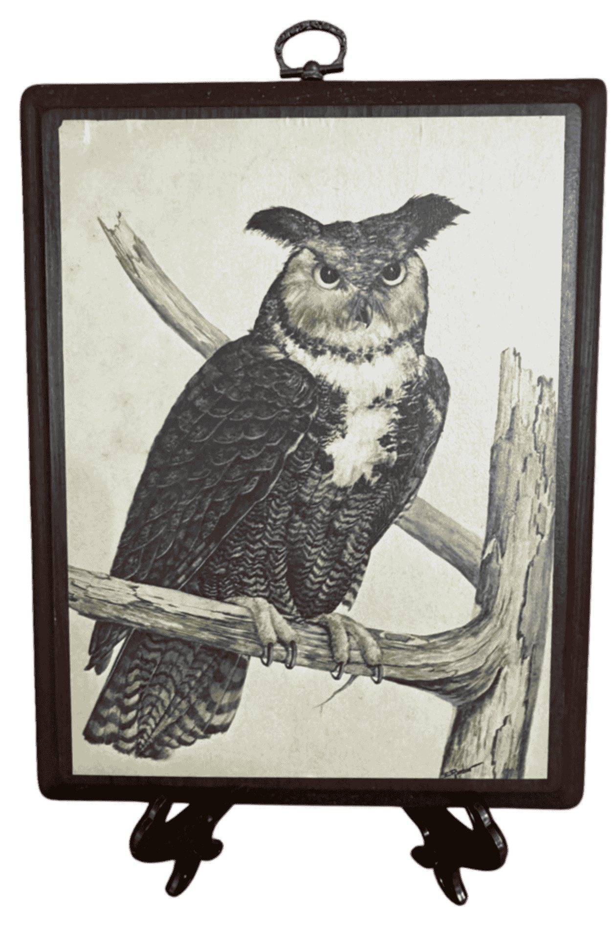 Vintage natural history illustration of a great horned owl perched on a branch showing prominent ear tufts.