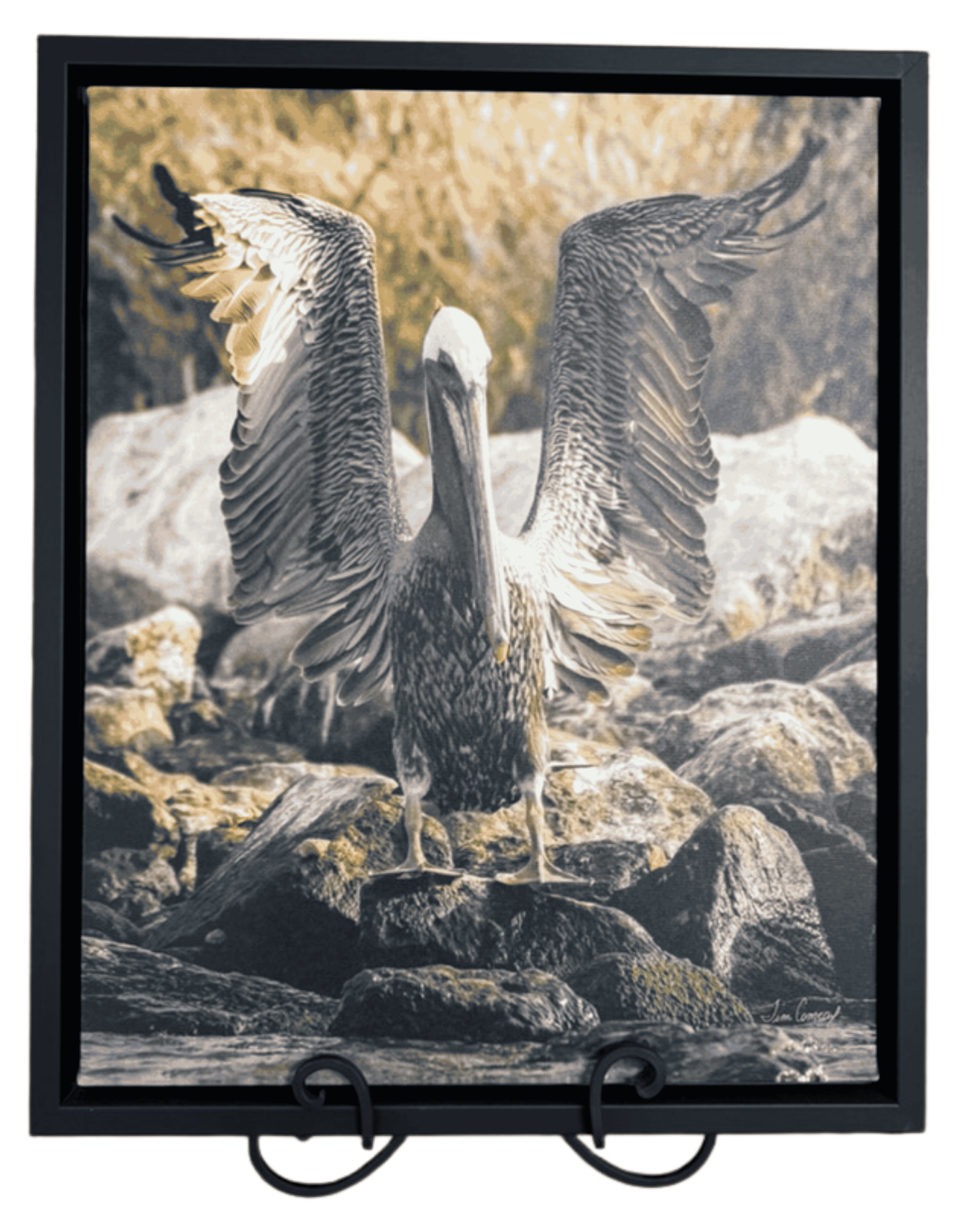 Pelican on Riverbank Photography Print — Tim Comeaux