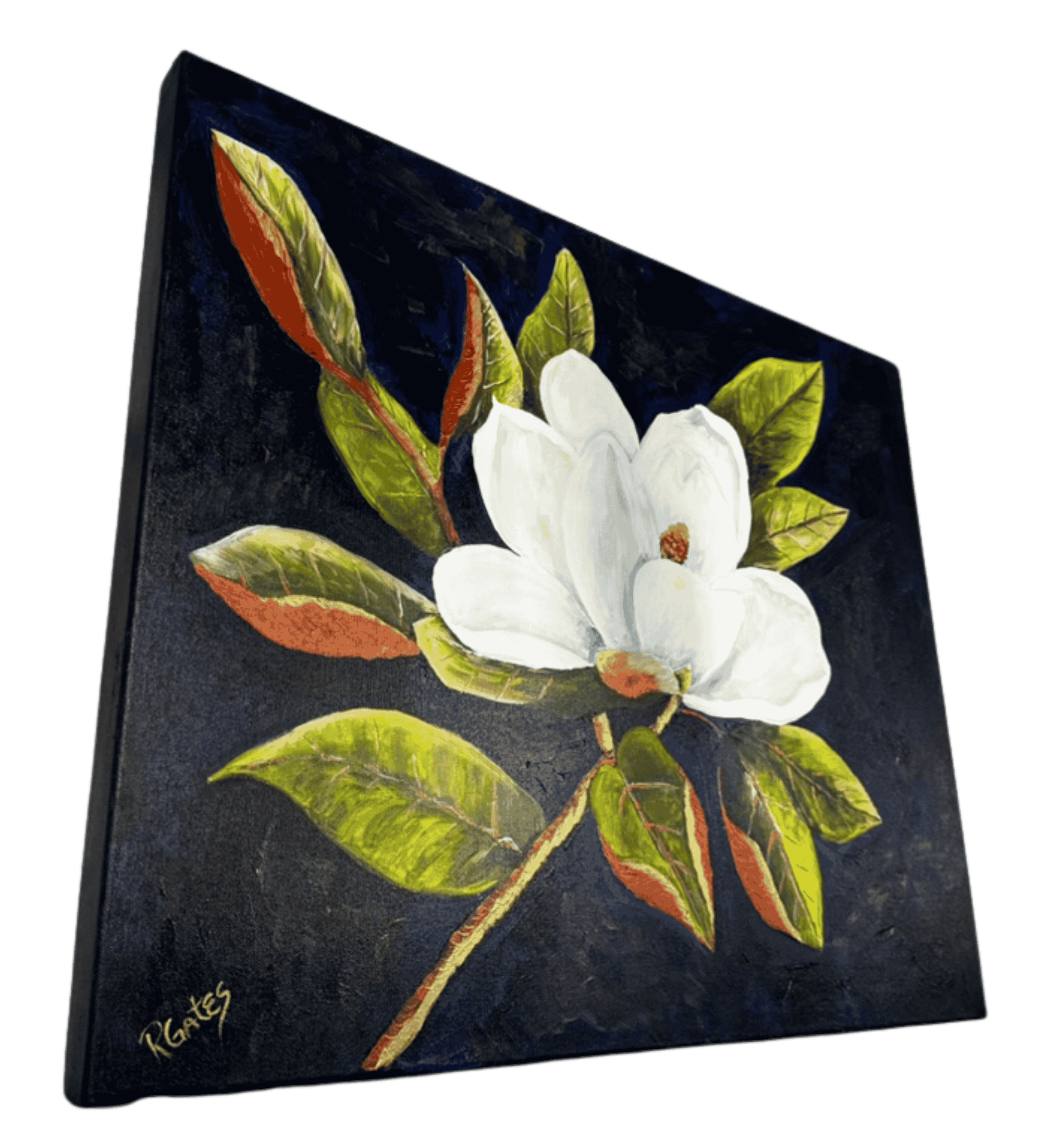 Original magnolia flower acrylic painting by R. Gates with white bloom and green leaves on dark background.