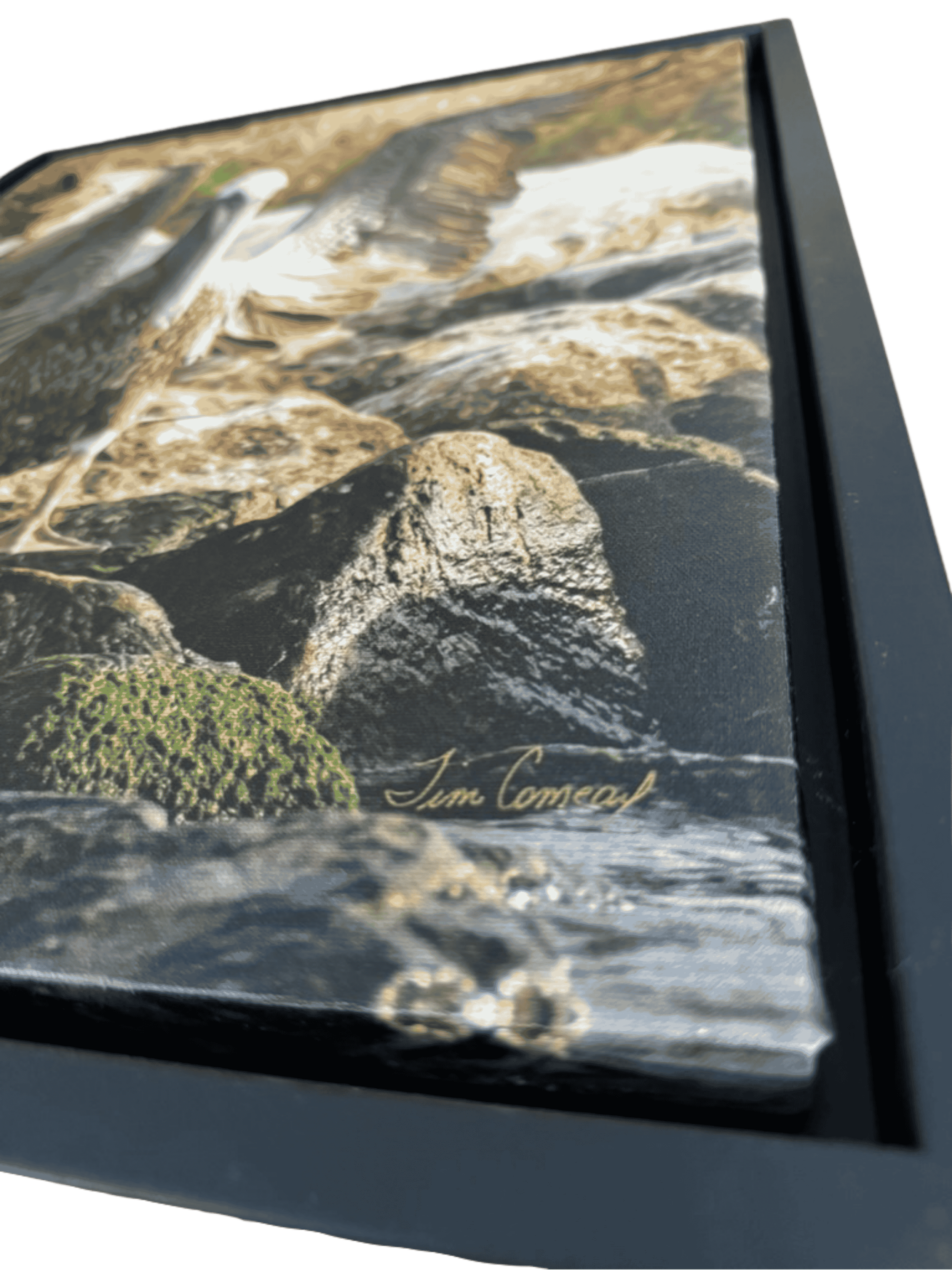 Close-up detail of Tim Comeaux signature on pelican wildlife photography print showing pelican standing on riverbank rocks.
