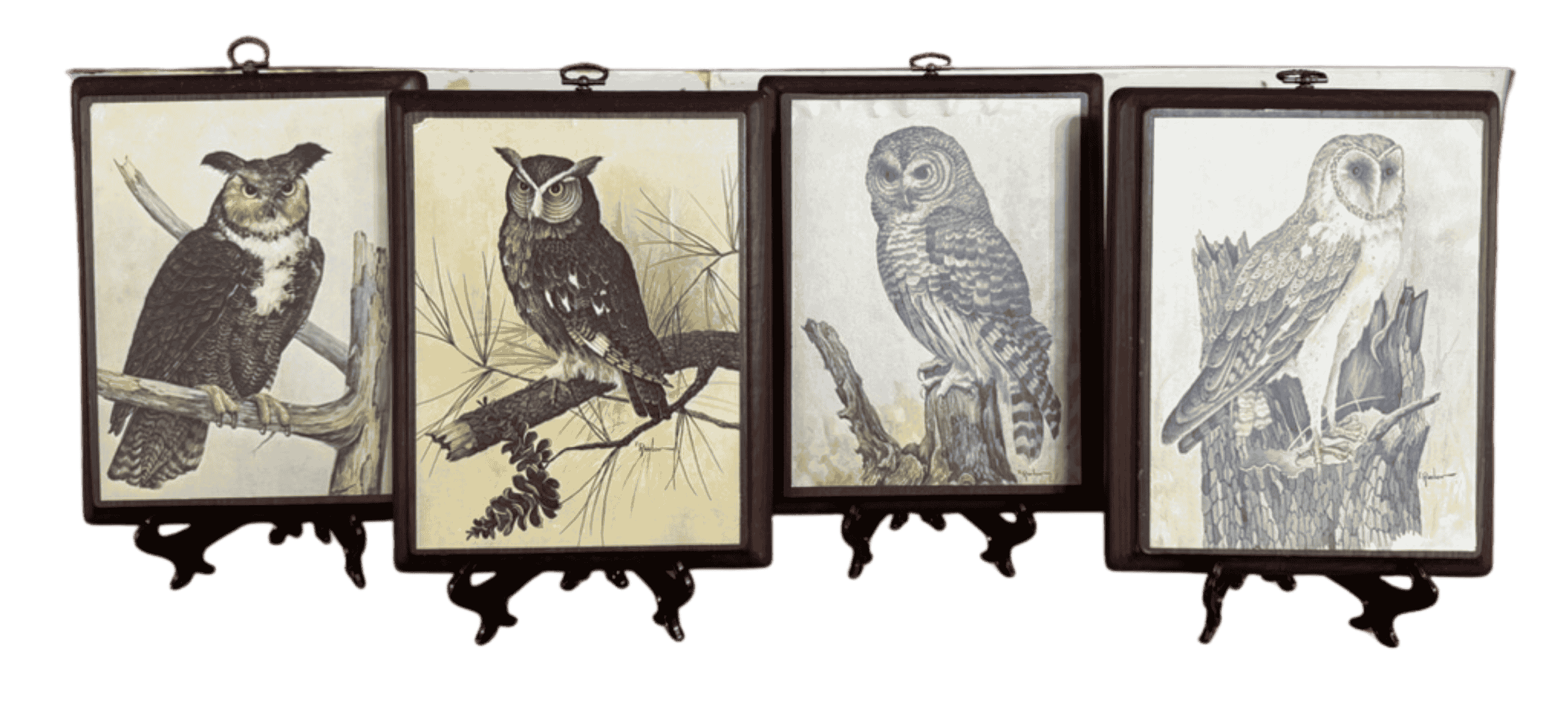 Set of four antique style owl illustration prints with rustic metal frames and included display stands.