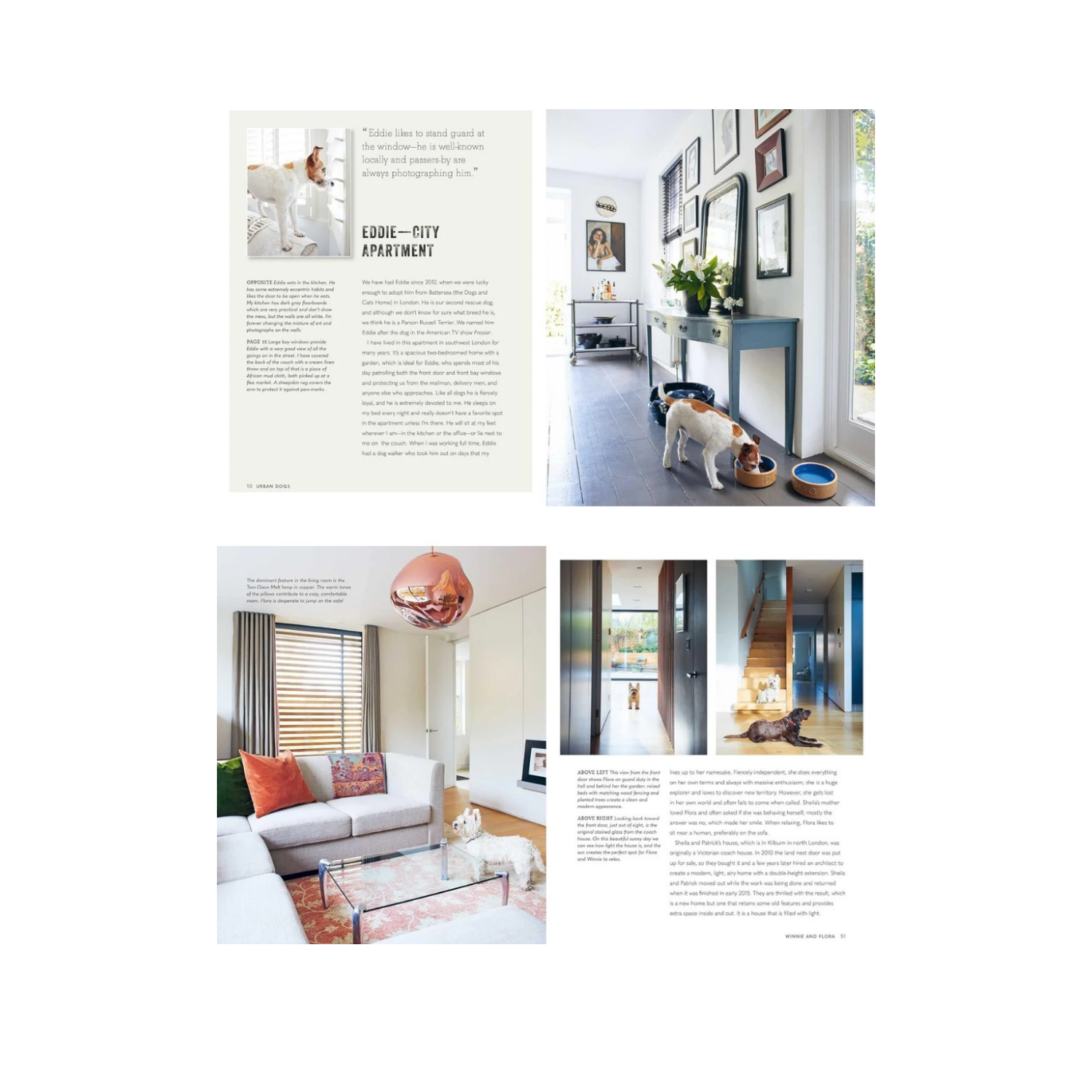 Cool Dogs, Cool Homes 2.0.png