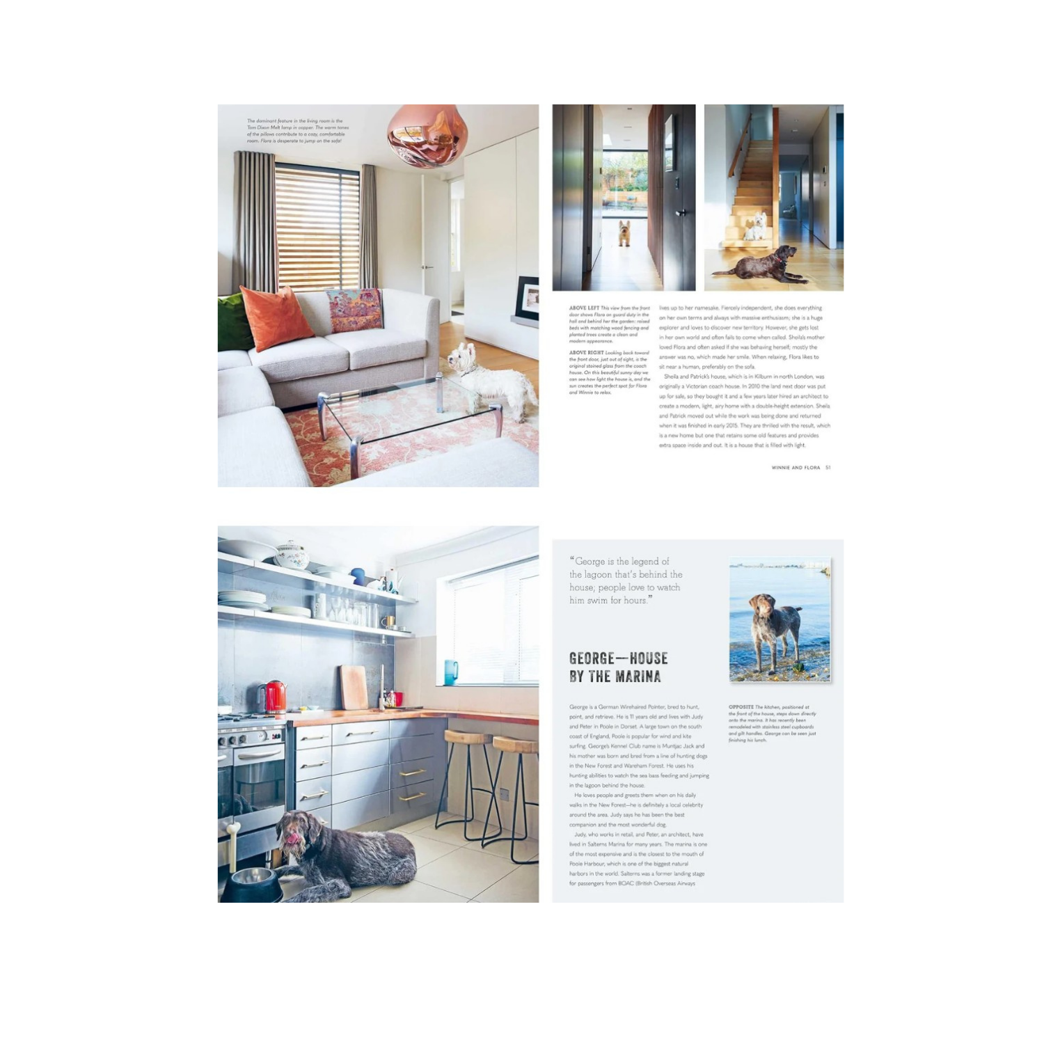 Cool Dogs, Cool Homes 3.0.png