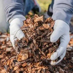 Autumn Mulching: A Simple Step for a Healthier Garden