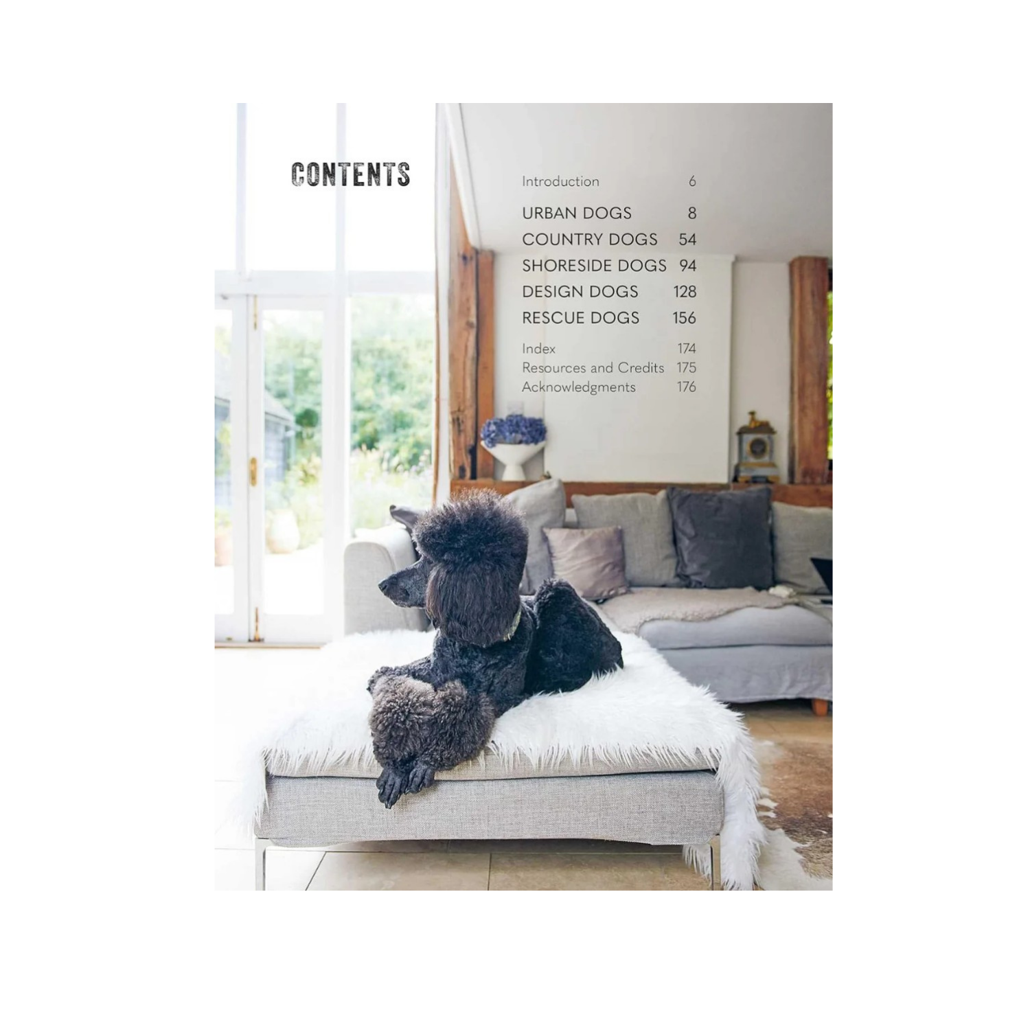 Cool Dogs, Cool Homes 4.0.png