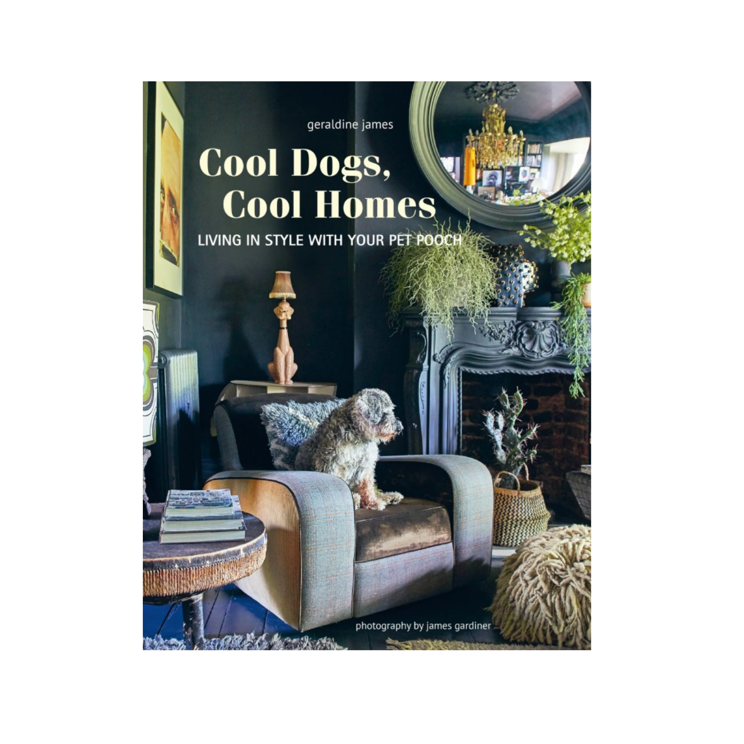 Cool Dogs, Cool Homes 1.0.png