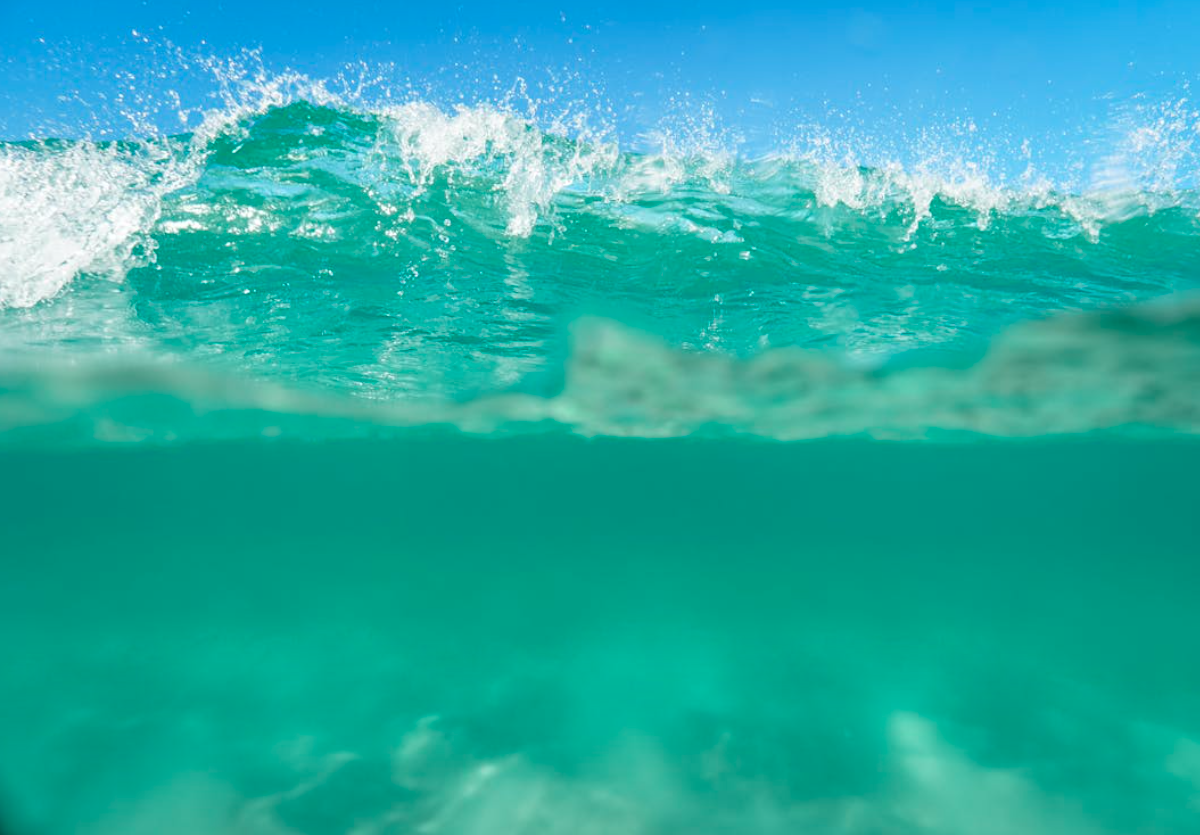 Protecting the Coast: Commitment to Clean Beaches