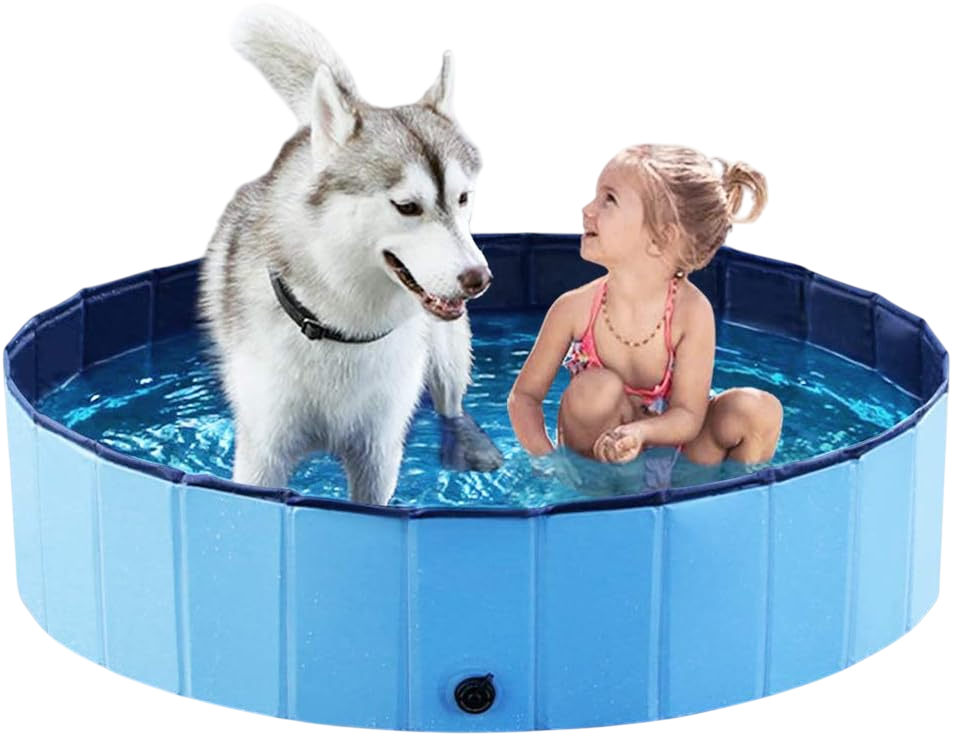 A little girl sitting in a small blue plastic pool with a large Siberian Husky dog standing in the water beside her.