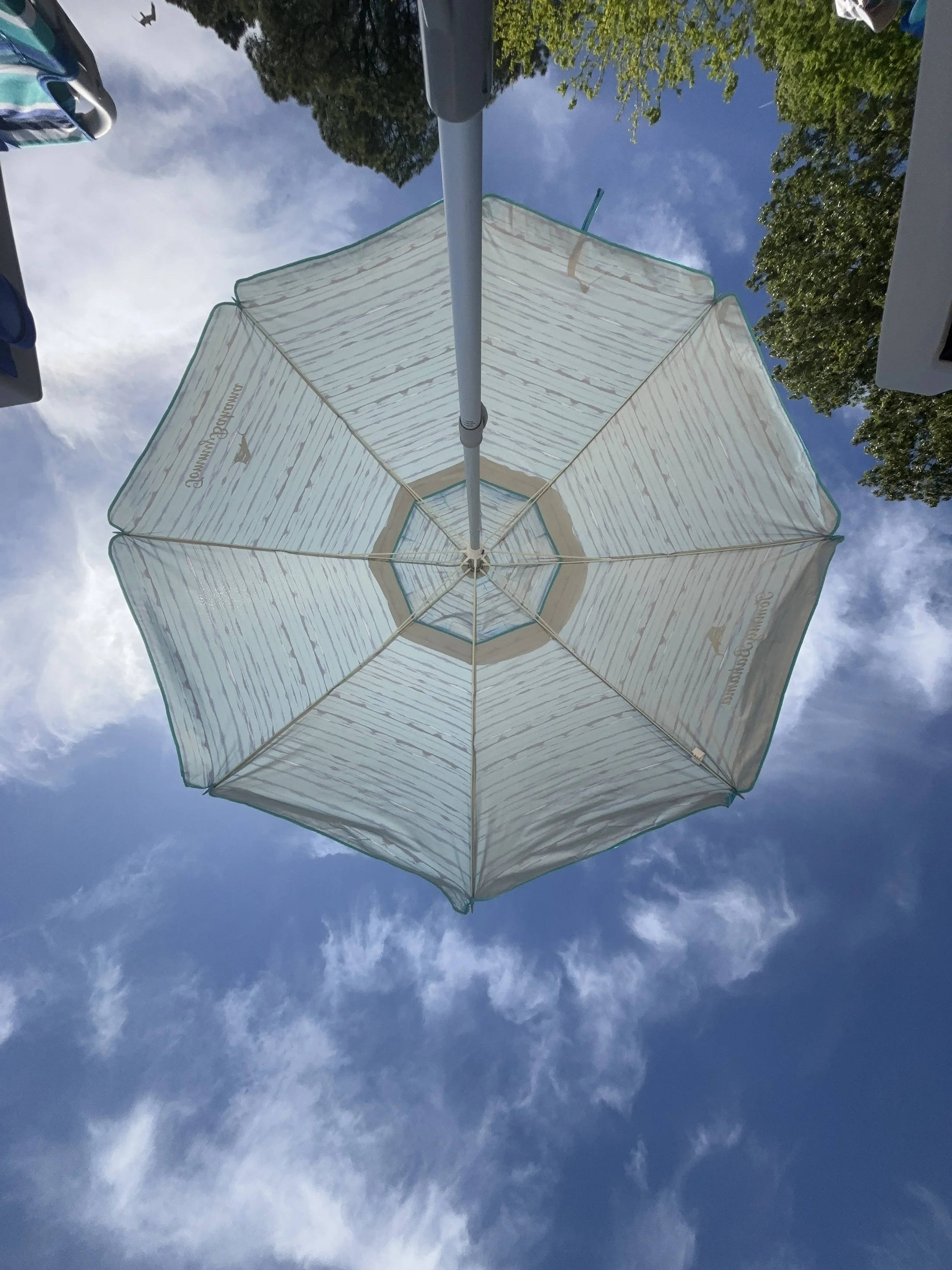Looking up at a white beach umbrella with blue edges against a blue sky with wispy clouds and green trees on the side.
