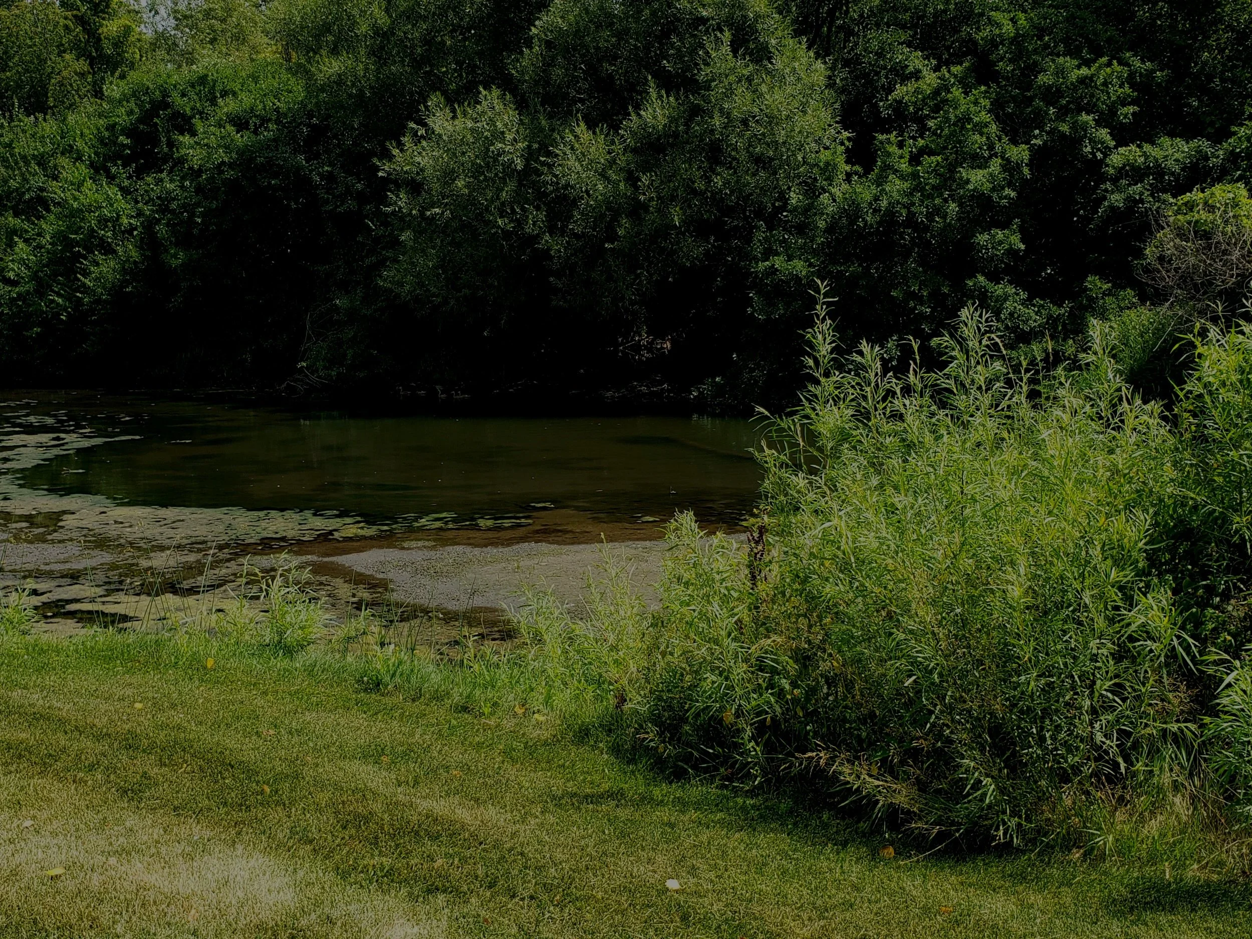 PROPERTY TAX APPEALS