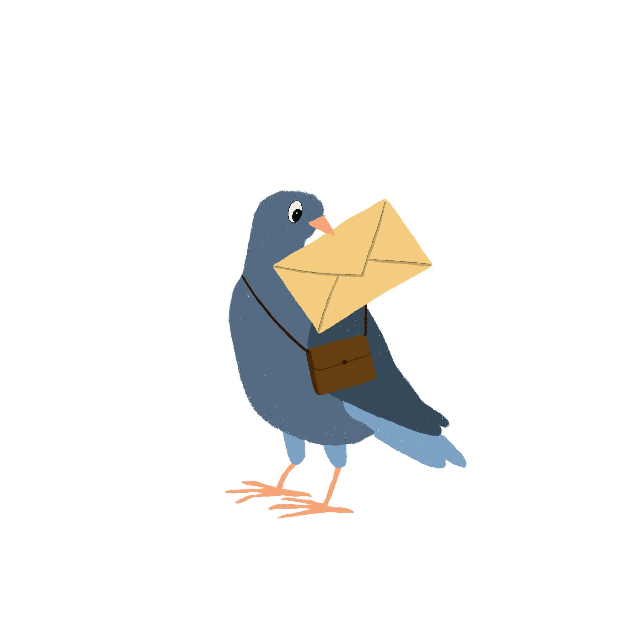 Eine Brieftaube mit Brief im Schnabel.