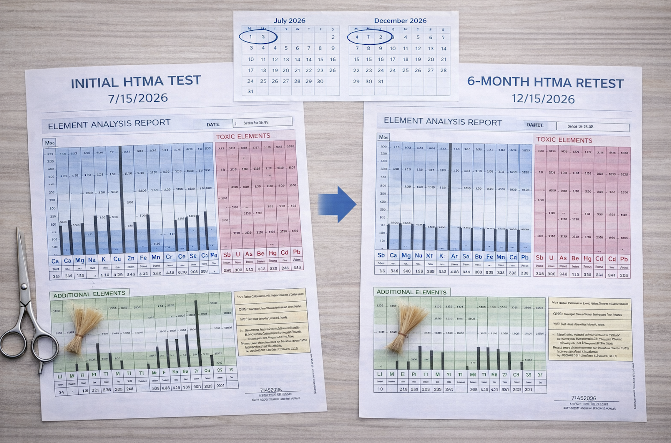 PREMIUM HTMA Test + 6 MONTH FOLLOW UP, Analysis, Action plan, Supplement Recommendations