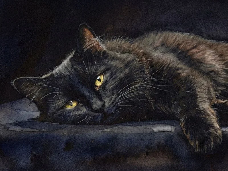 Secrets to Great Black Cat Portraits