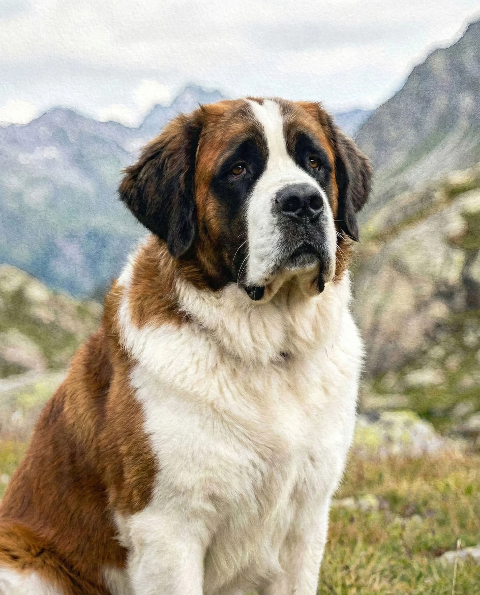 St-Bernard.jpg
