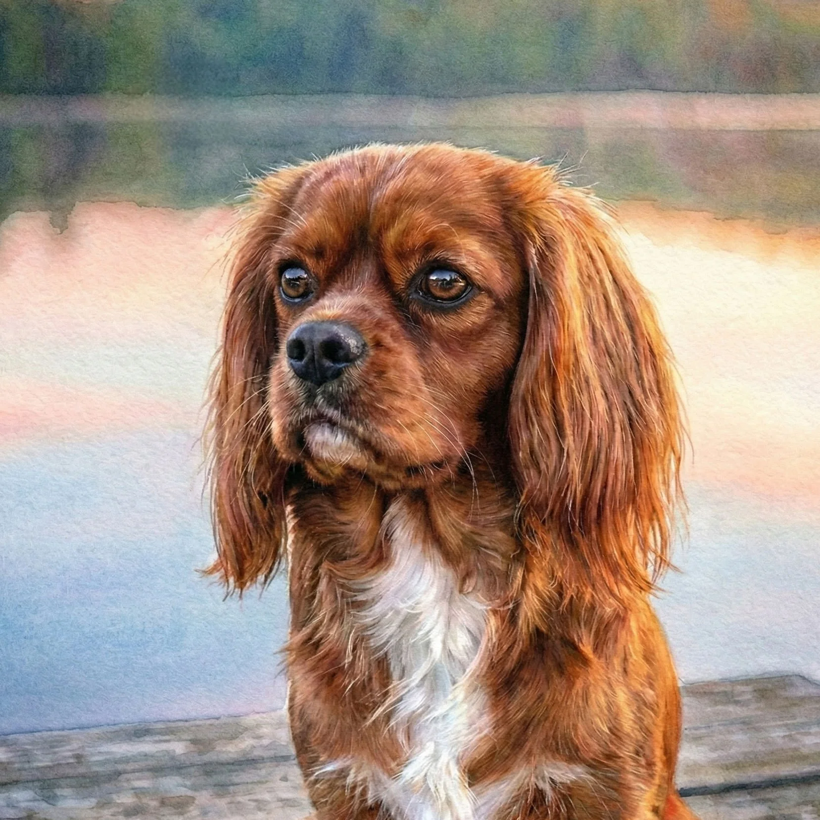 Cavalier-King-Charles-Spaniel.jpg