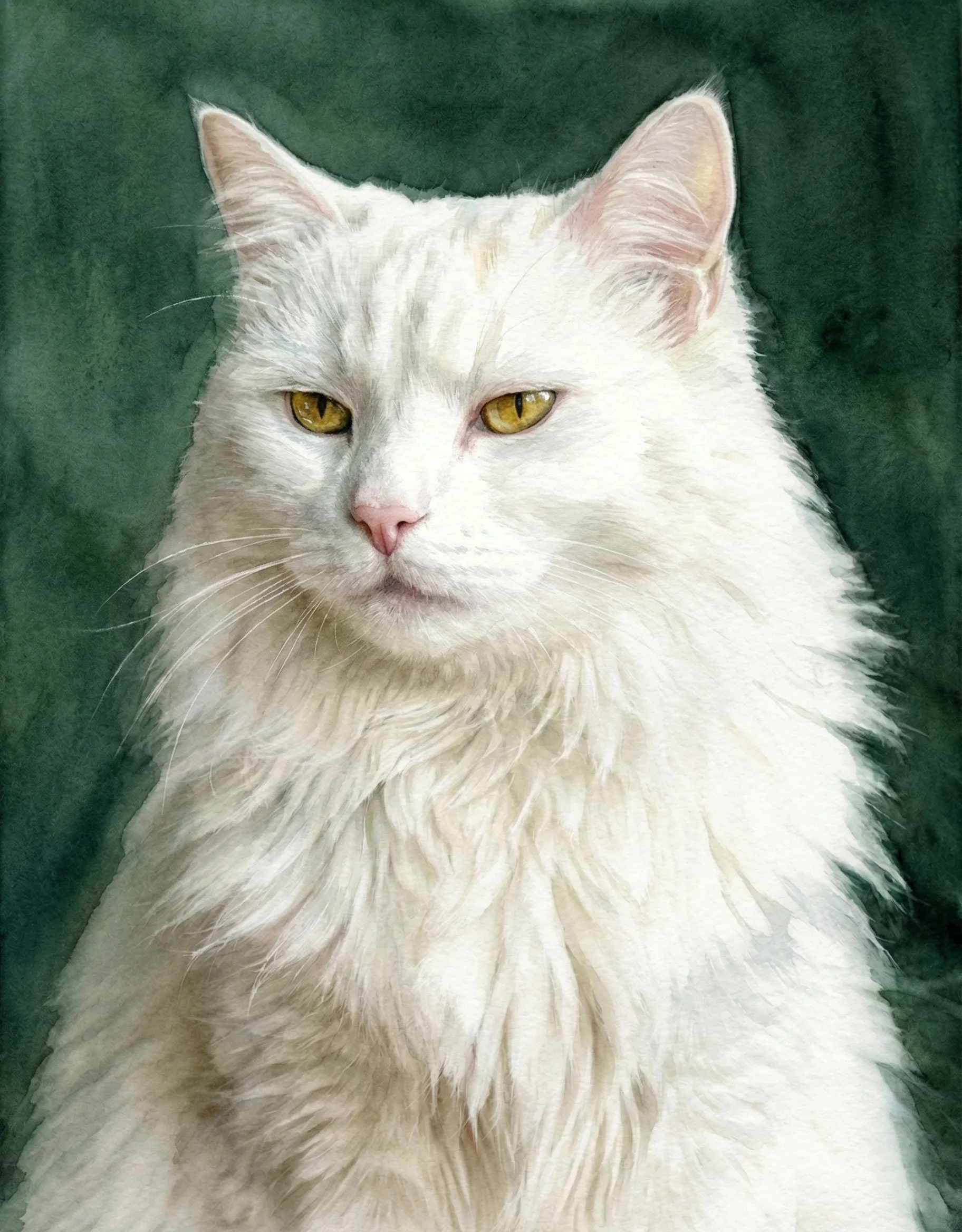 White-Cat-v2.jpg