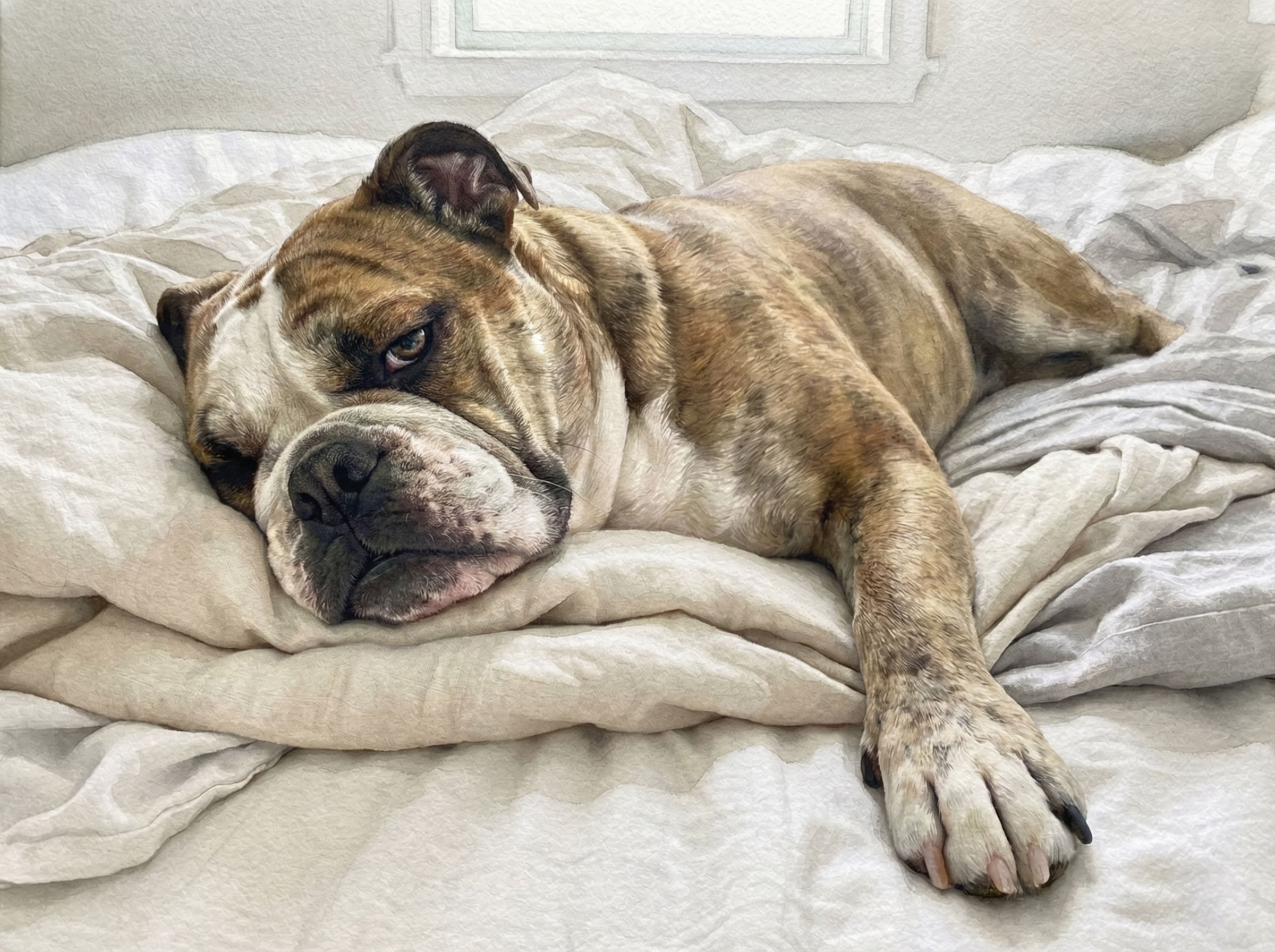 Art+Bulldog-v2.jpg