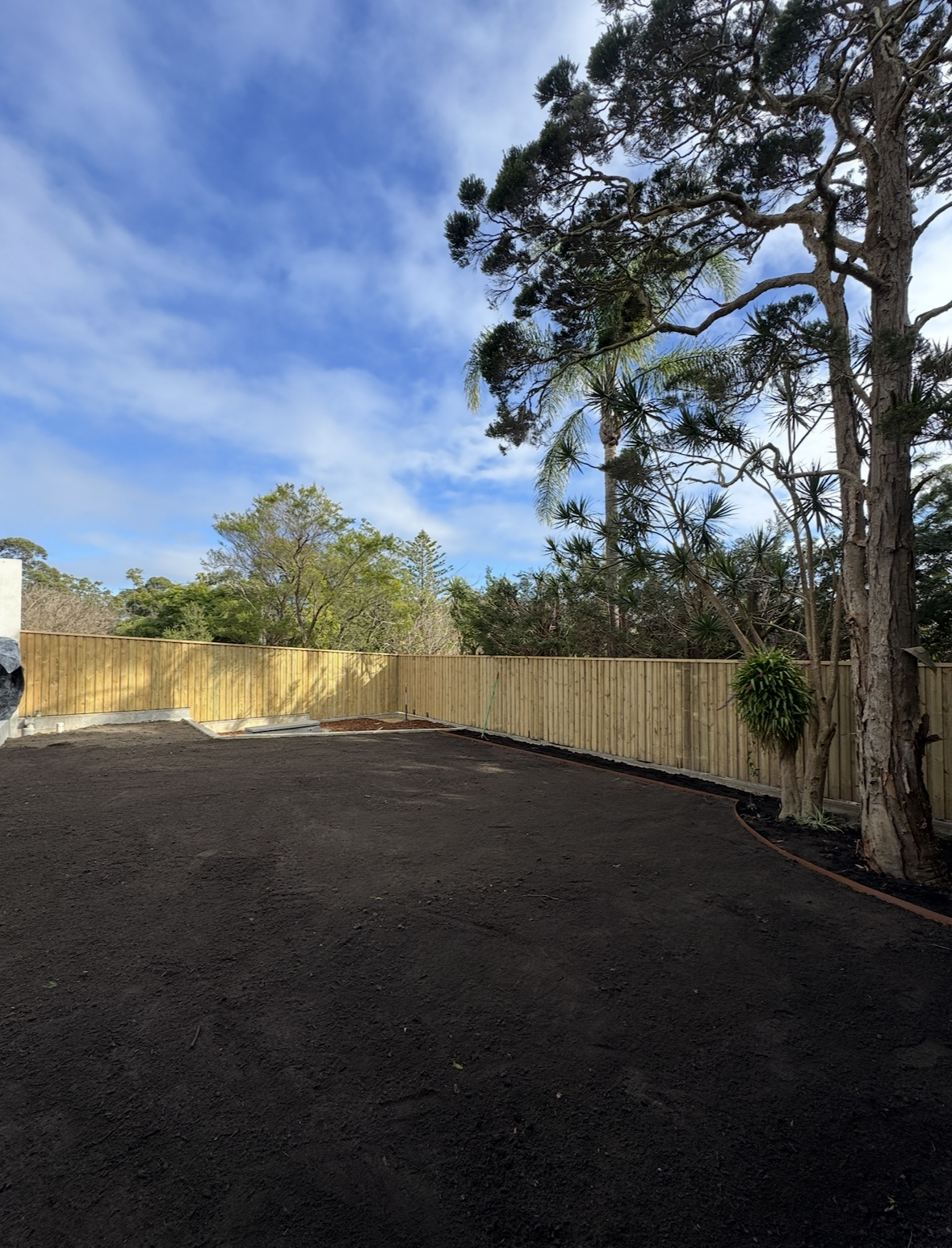A backyard lawn area under development with freshly laid dark soil and a wooden fence, surrounded by tall trees and a partly cloudy sky.