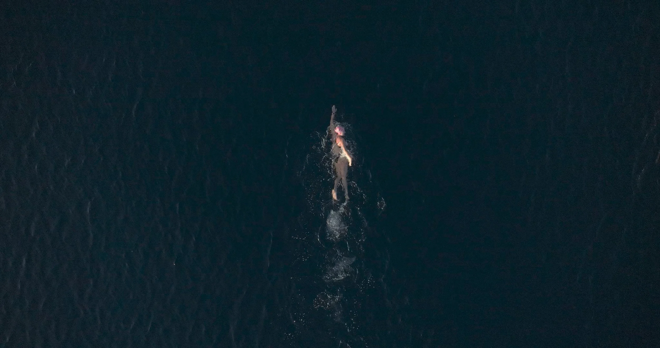 Aerial view of a person swimming in the dark ocean water.