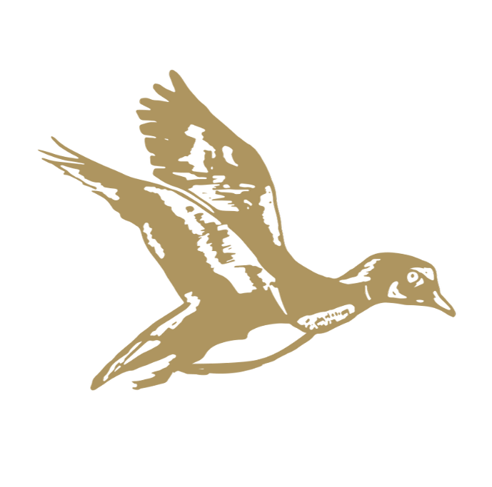 A stylized, tan-colored bird in flight with detailed wings and head, set against a black background.