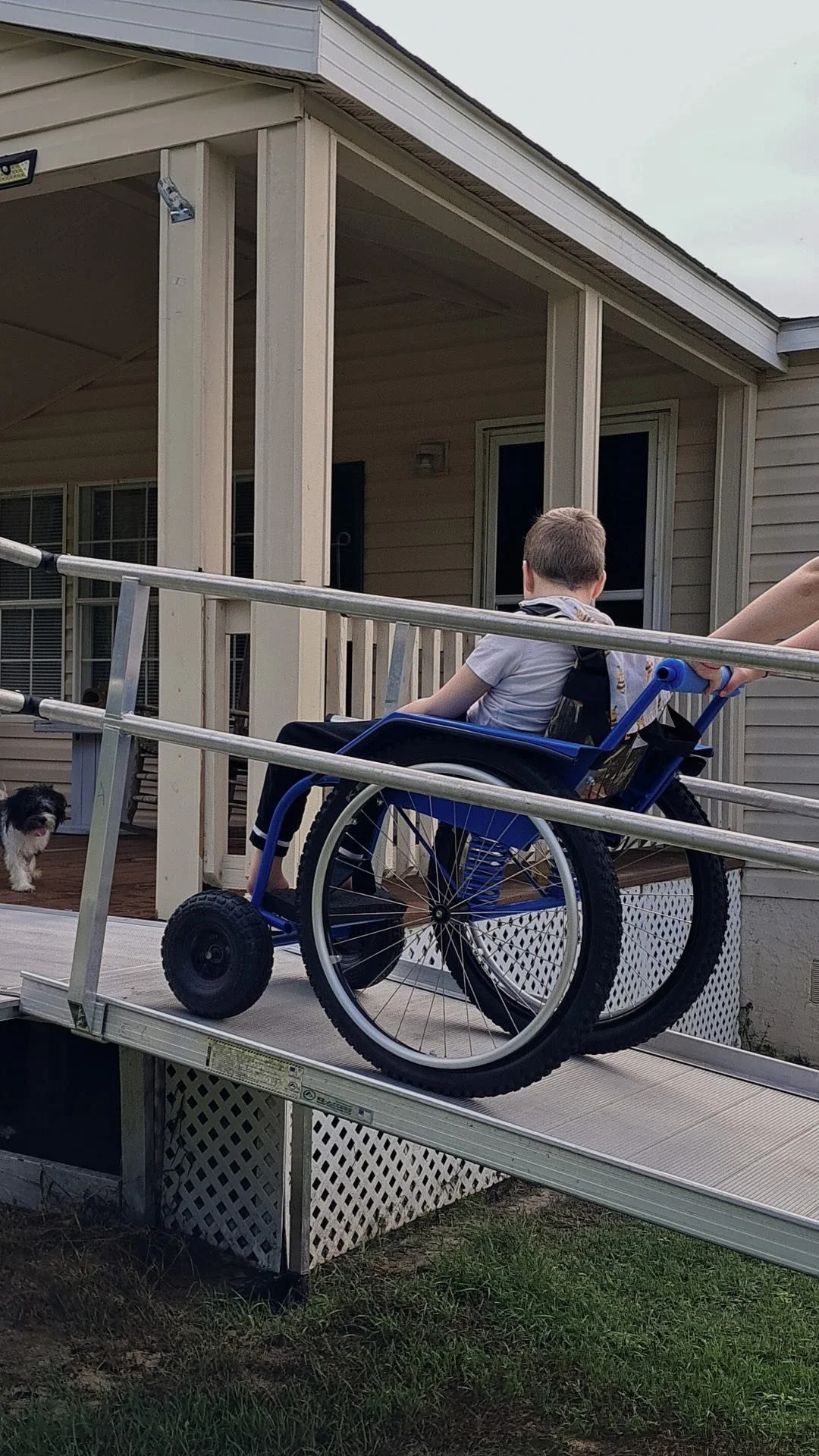 A person in a wheelchair on a ramp leading to a house porch, with a small dog nearby.