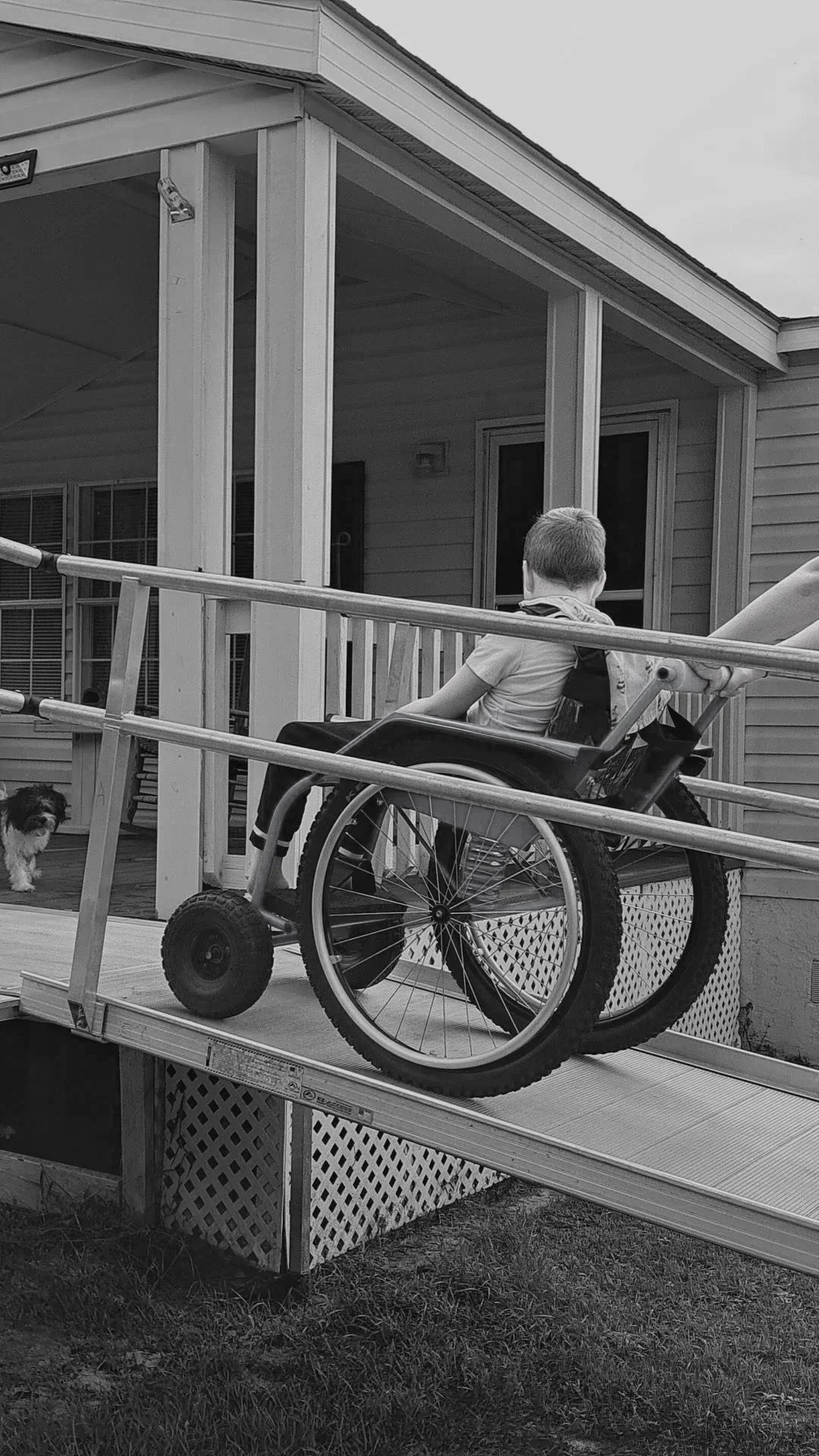 A boy in a wheelchair looking towards a house on a porch with a dog nearby.