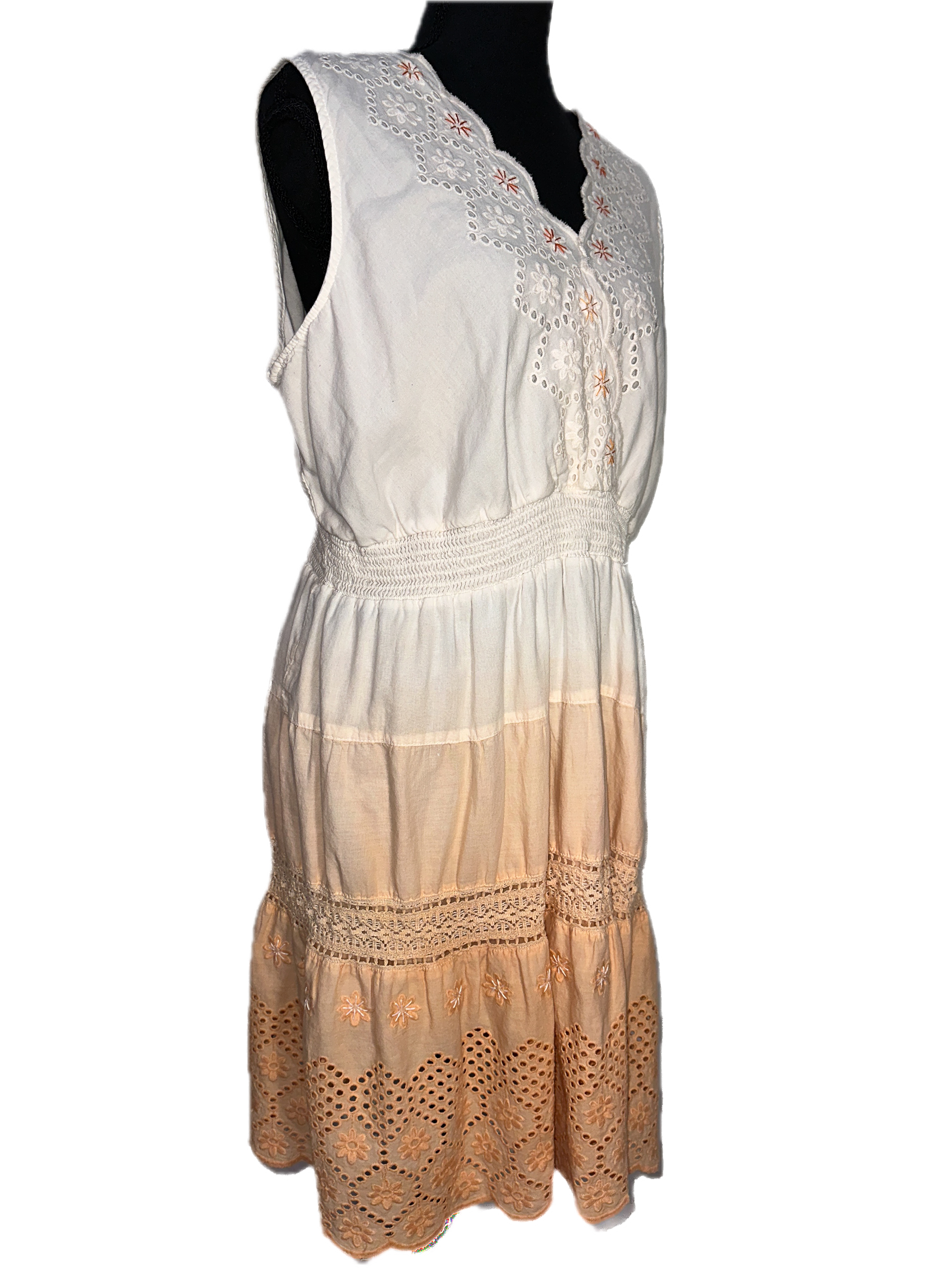 annatto dyed dress 2.png