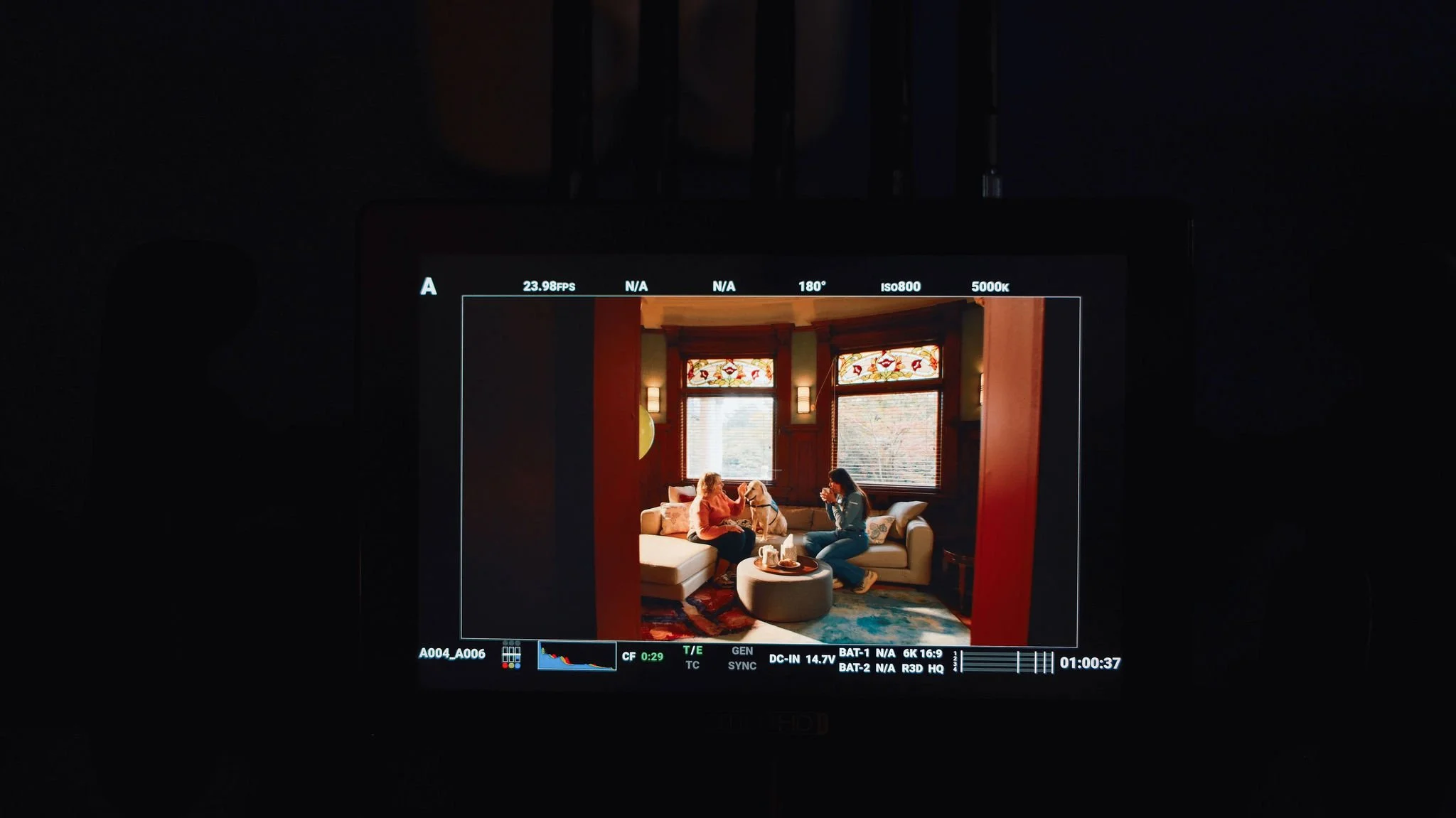 Two women and a dog sitting on couches in a cozy living room, one woman is feeding the dog while the other is taking a photo.