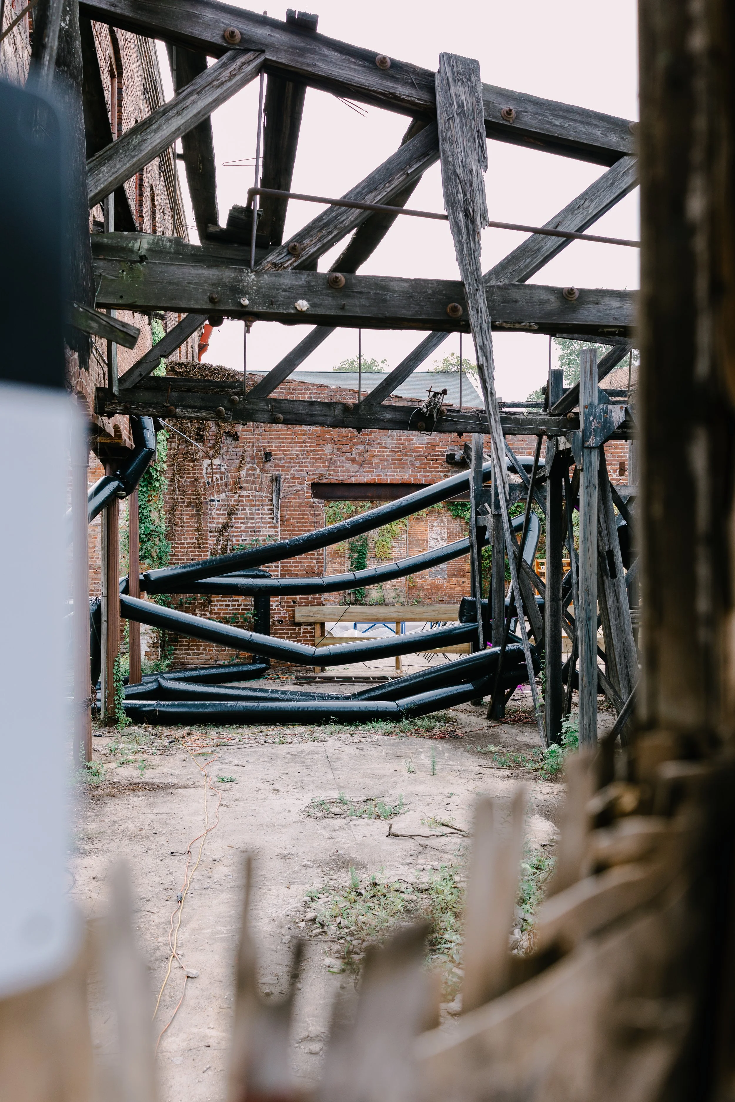R6II9630.jpg