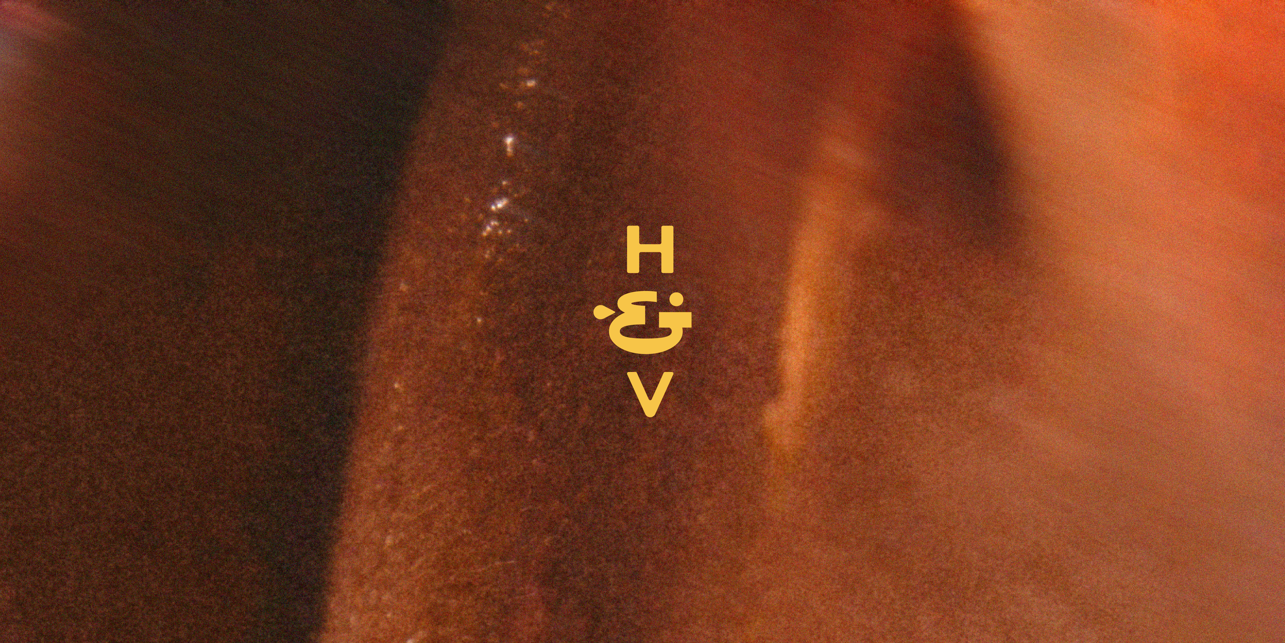 Close-up of textured, brownish-orange surface with yellow text overlay reading 'H & V' in the center.