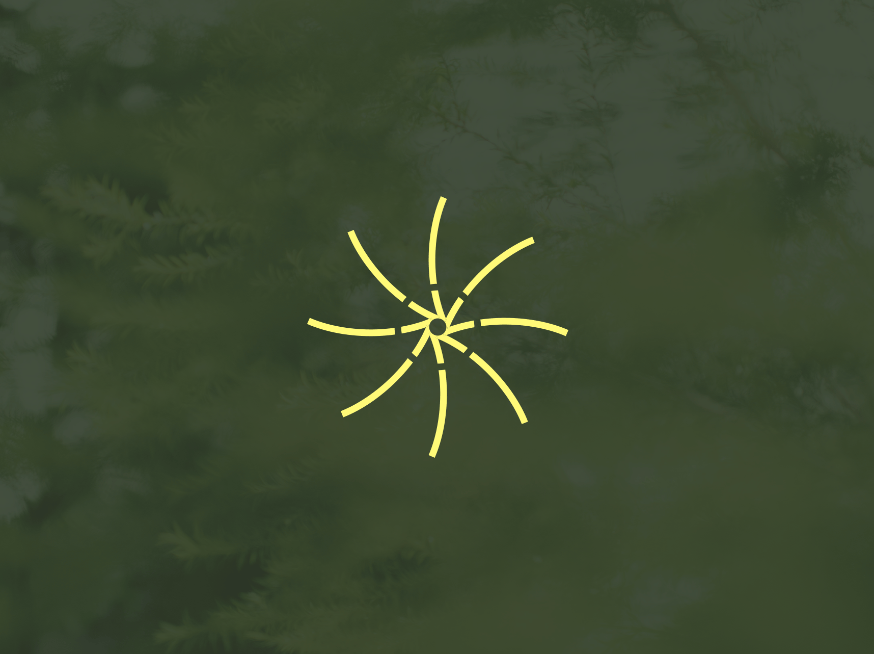 Shed Rain umbrella spoke iconography