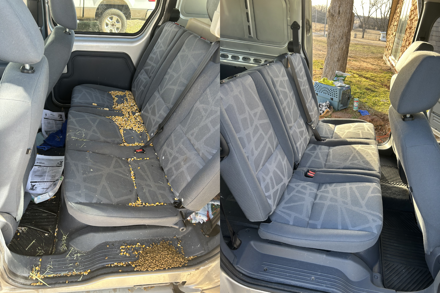 Comparison of dirty and clean vehicle back seat, with the dirty seat filled with spilled birdseed and debris, and the clean seat after cleaning.