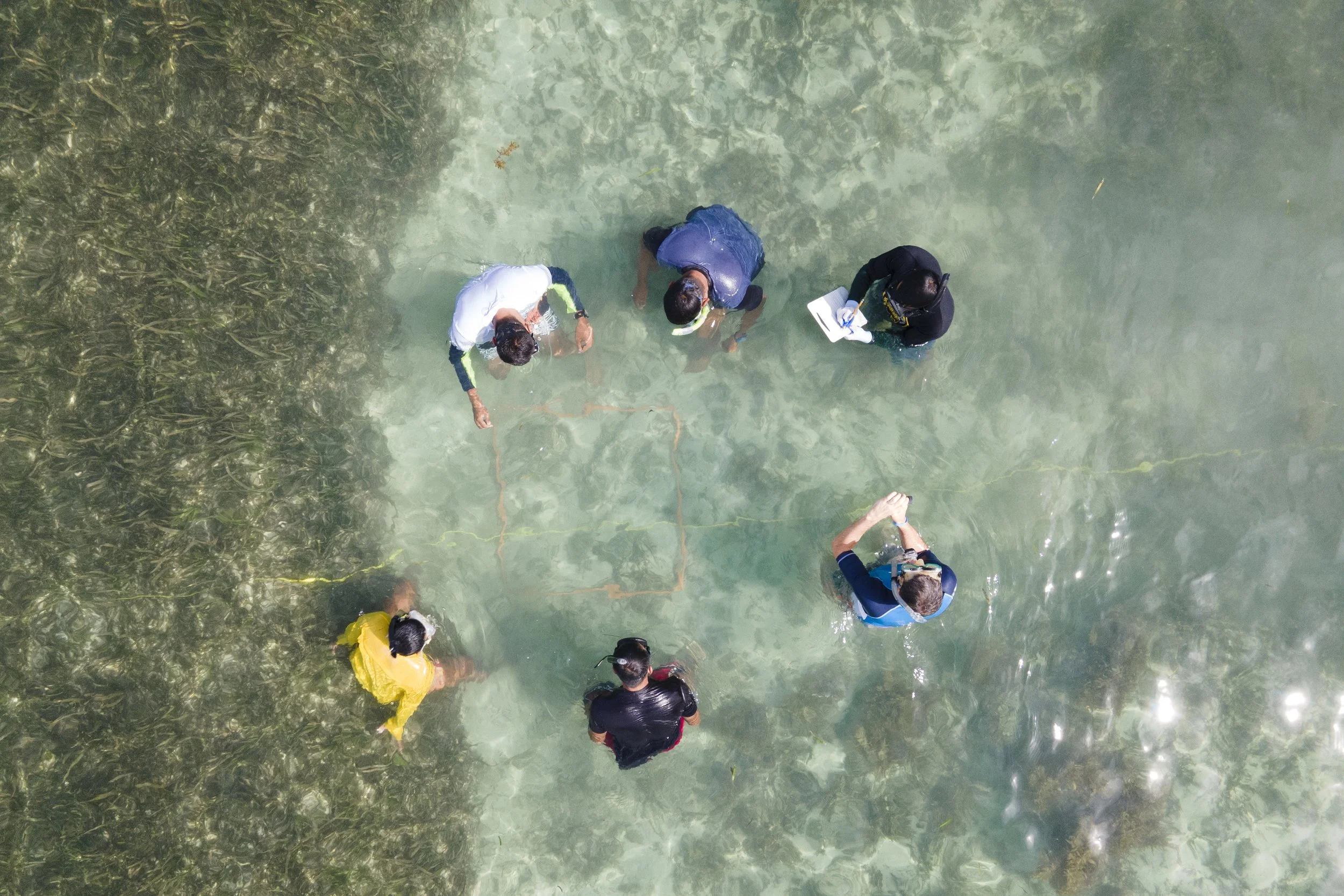 Six people standing in shallow clear water near a shoreline with seaweed in the Philippines.