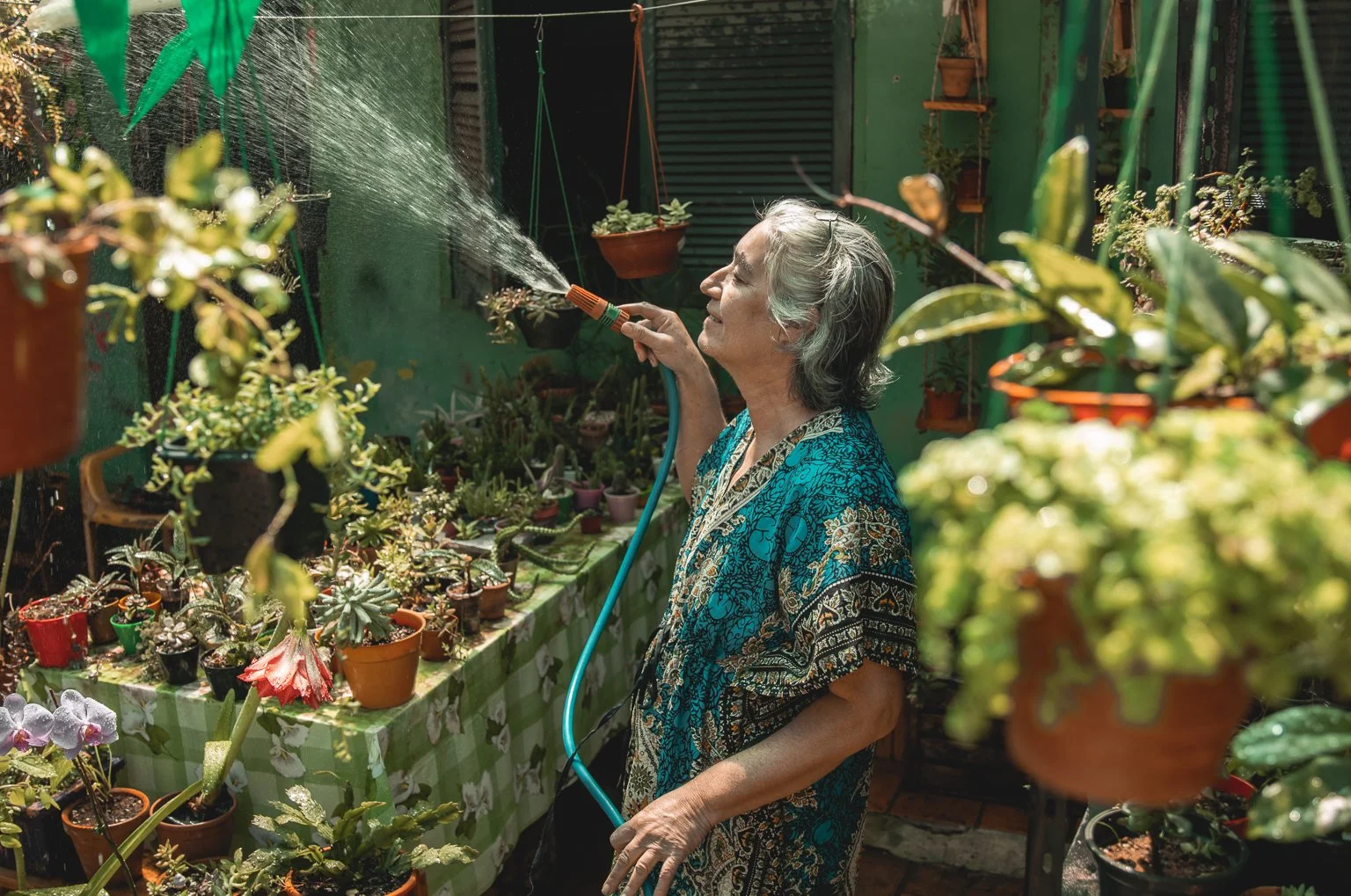 An elderly woman with gray hair watering plants in a greenhouse or garden space filled with various potted plants and succulents on a table.