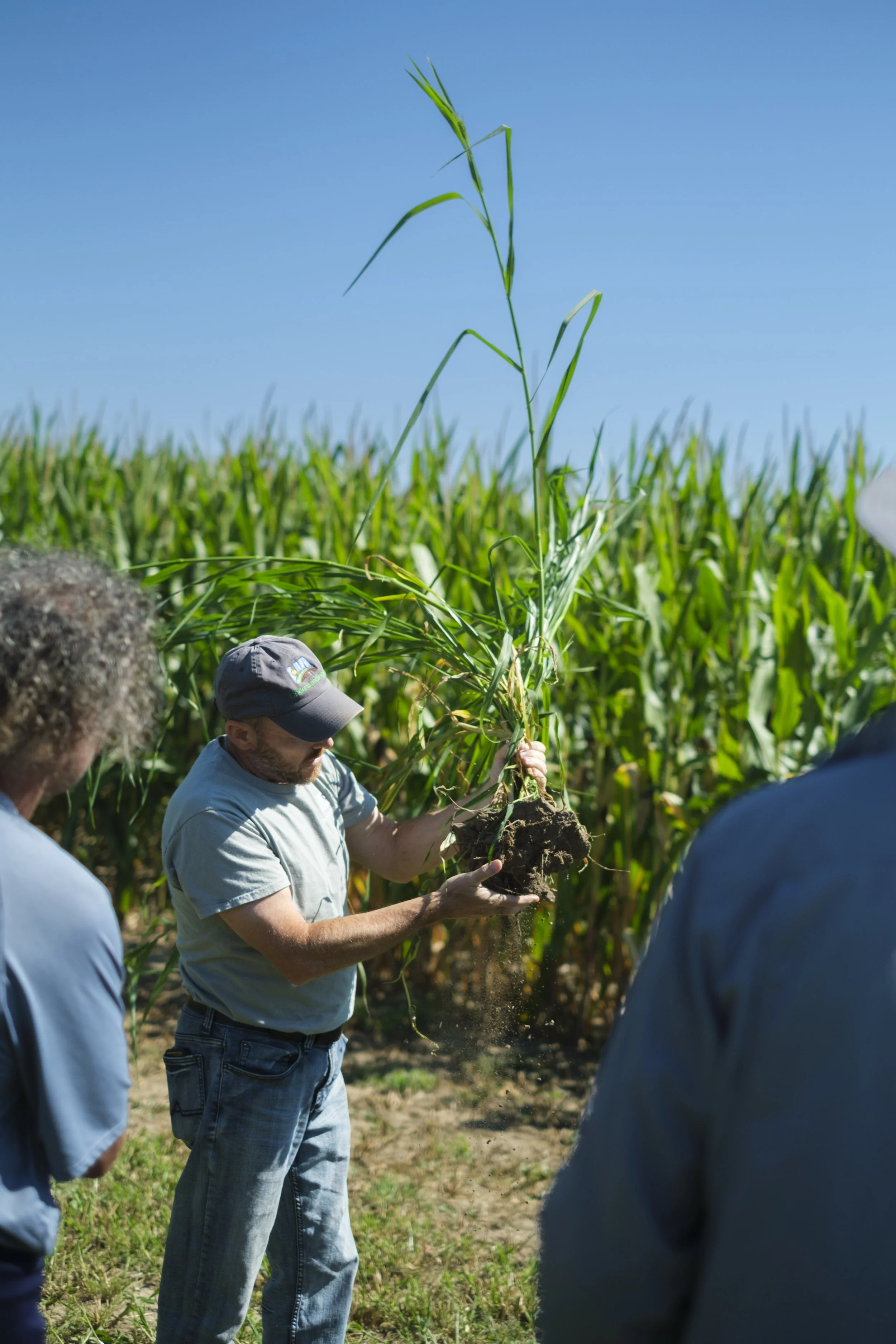 A man holds a sample of soil with a stalk of corn growing and it's root system during the Washtenaw County Conservation District Farmer Field Day.