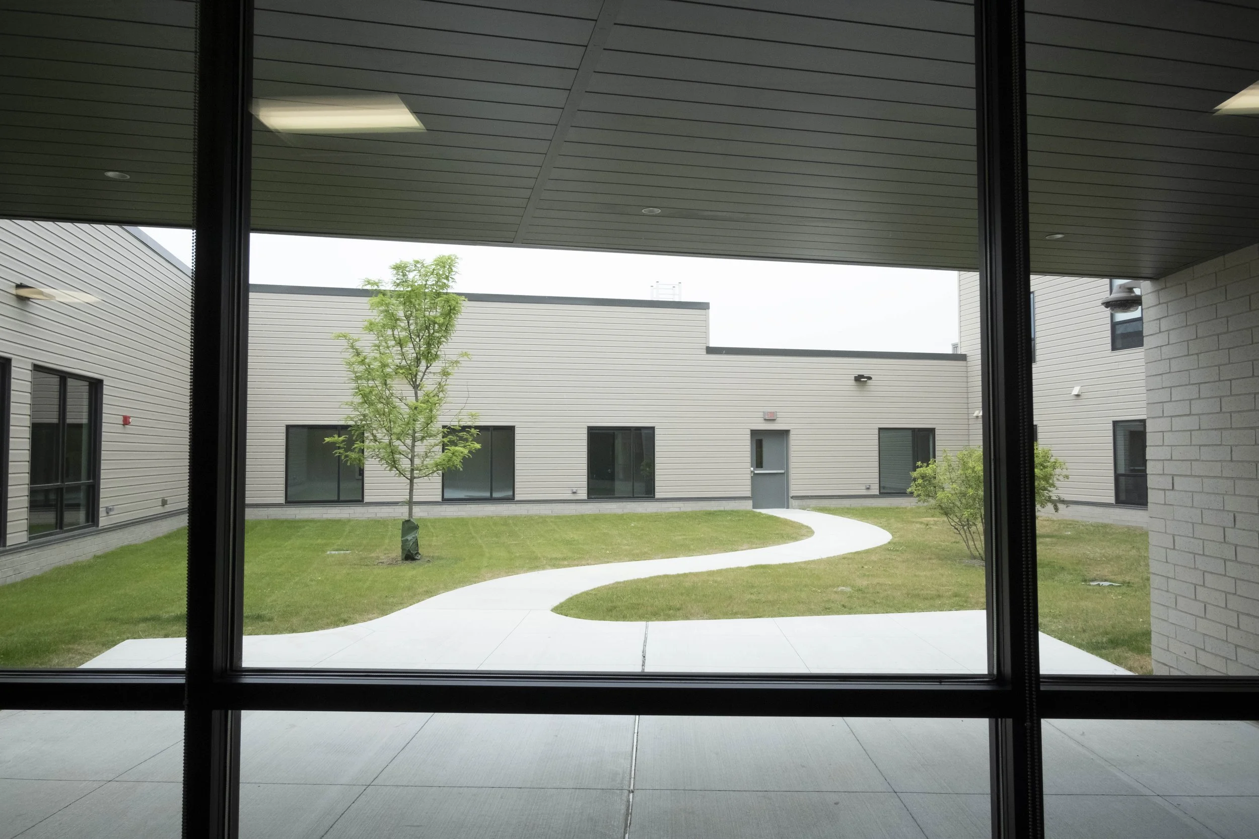 Windows show a green pathway with trees surrounded by buildings on all sides.
