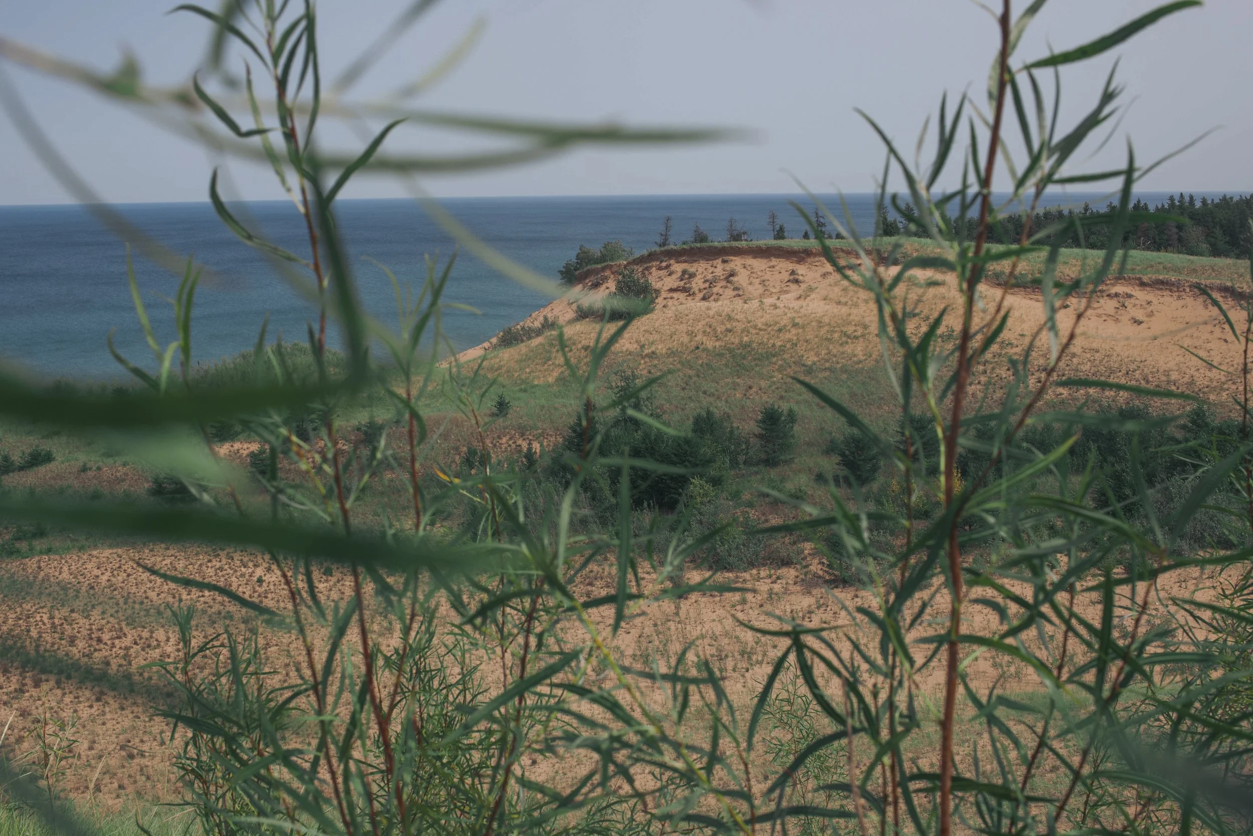 Au Sable Sand Dunes are framed between the leaves of a plant, with Lake Superior in the distance.