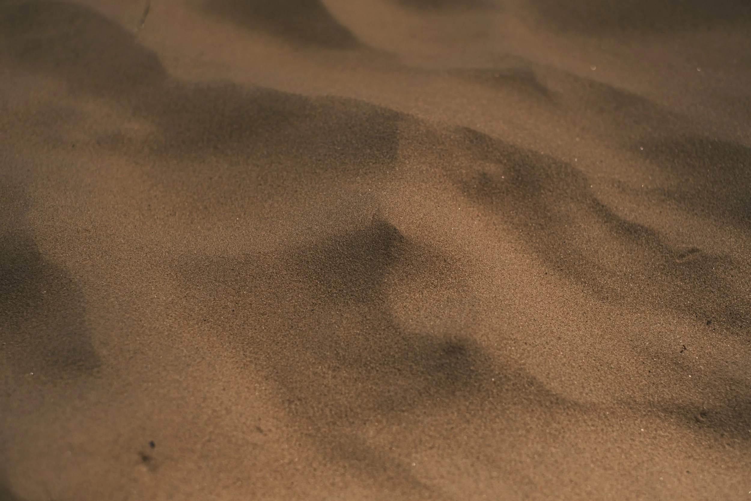 A photo documenting the environment and nature the Upper Peninsula and Northern Michigan. By Michigan photographer Charlotte Smith