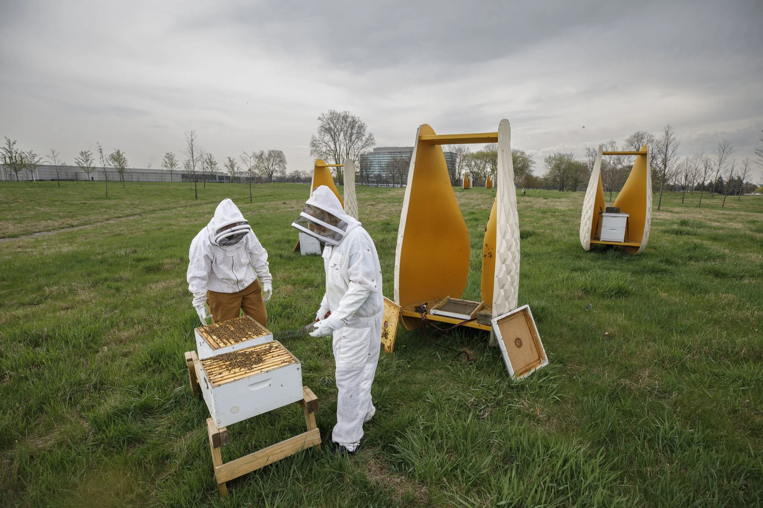  A collection of images featuring candid, editorial and documentary photography showcasing the philanthropic work being done by Ford Motor Co. with beekeepers and pollinators in Dearborn and Detroit, Michigan 