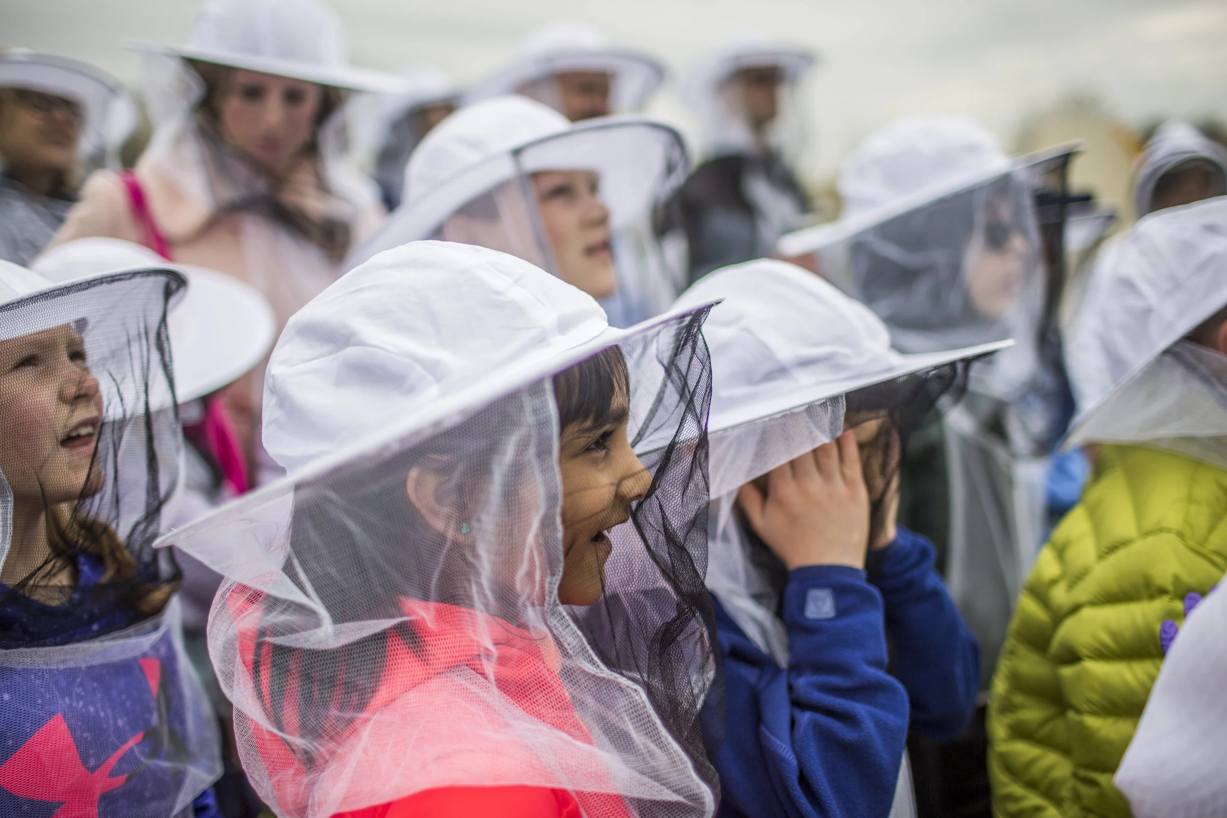  A collection of images featuring candid, editorial and documentary photography showcasing the philanthropic work being done by Ford Motor Co. with beekeepers and pollinators in Dearborn and Detroit, Michigan 