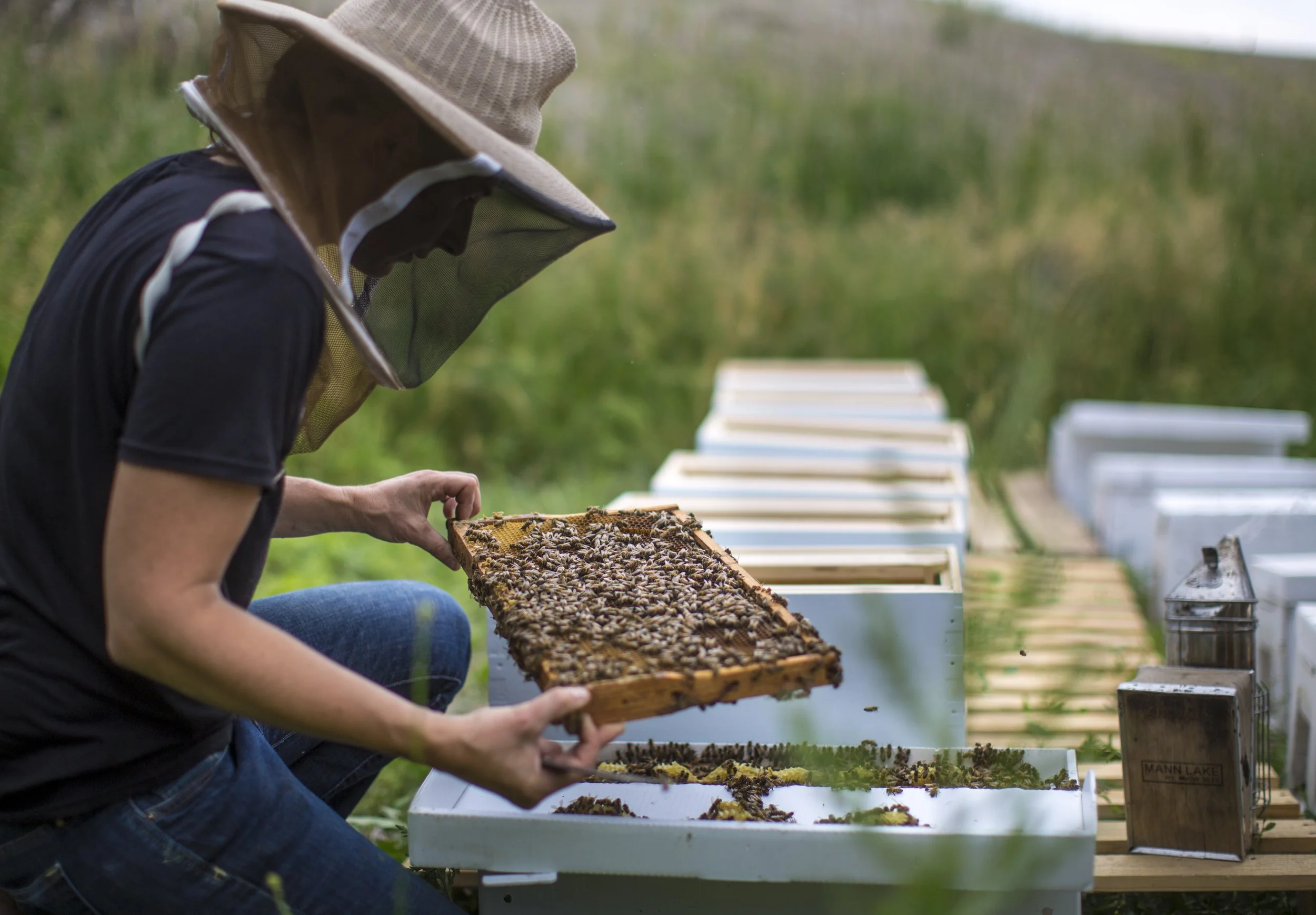  A collection of images featuring candid, editorial and documentary photography showcasing the philanthropic work being done by Ford Motor Co. with beekeepers and pollinators in Dearborn and Detroit, Michigan 